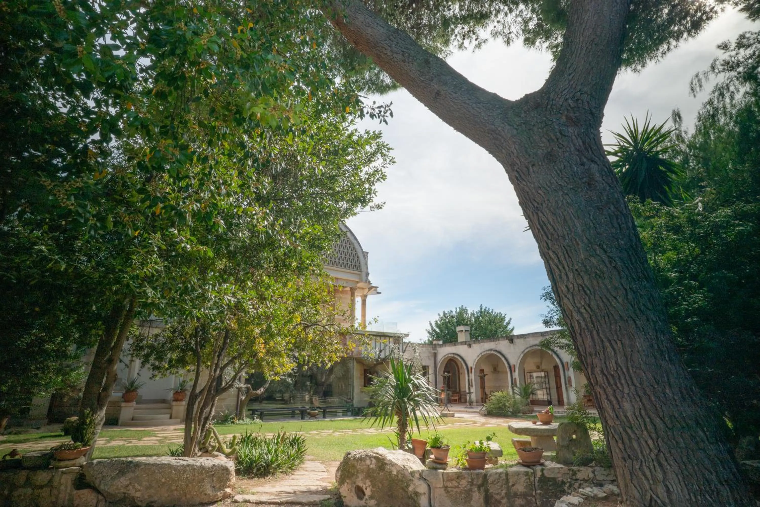 View (from property/room) in Masseria Le Lamie
