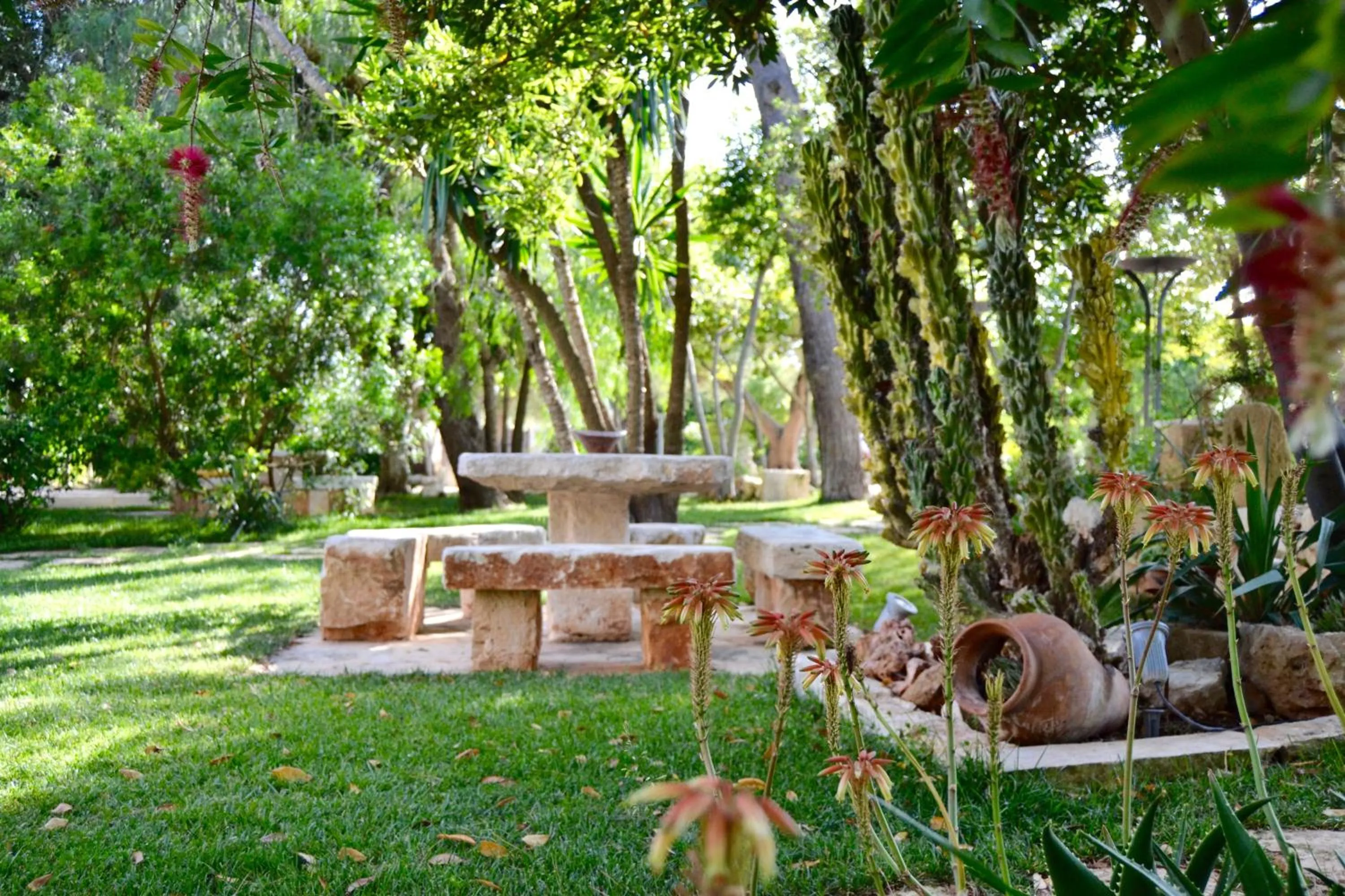 Garden in Masseria Le Lamie