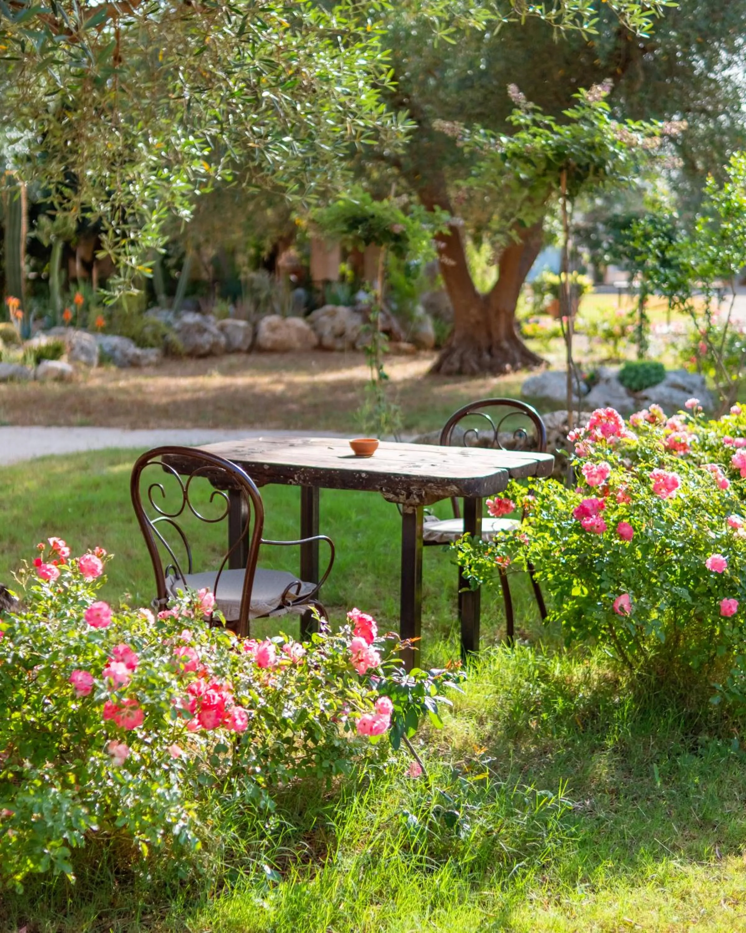 Garden in Masseria Le Lamie