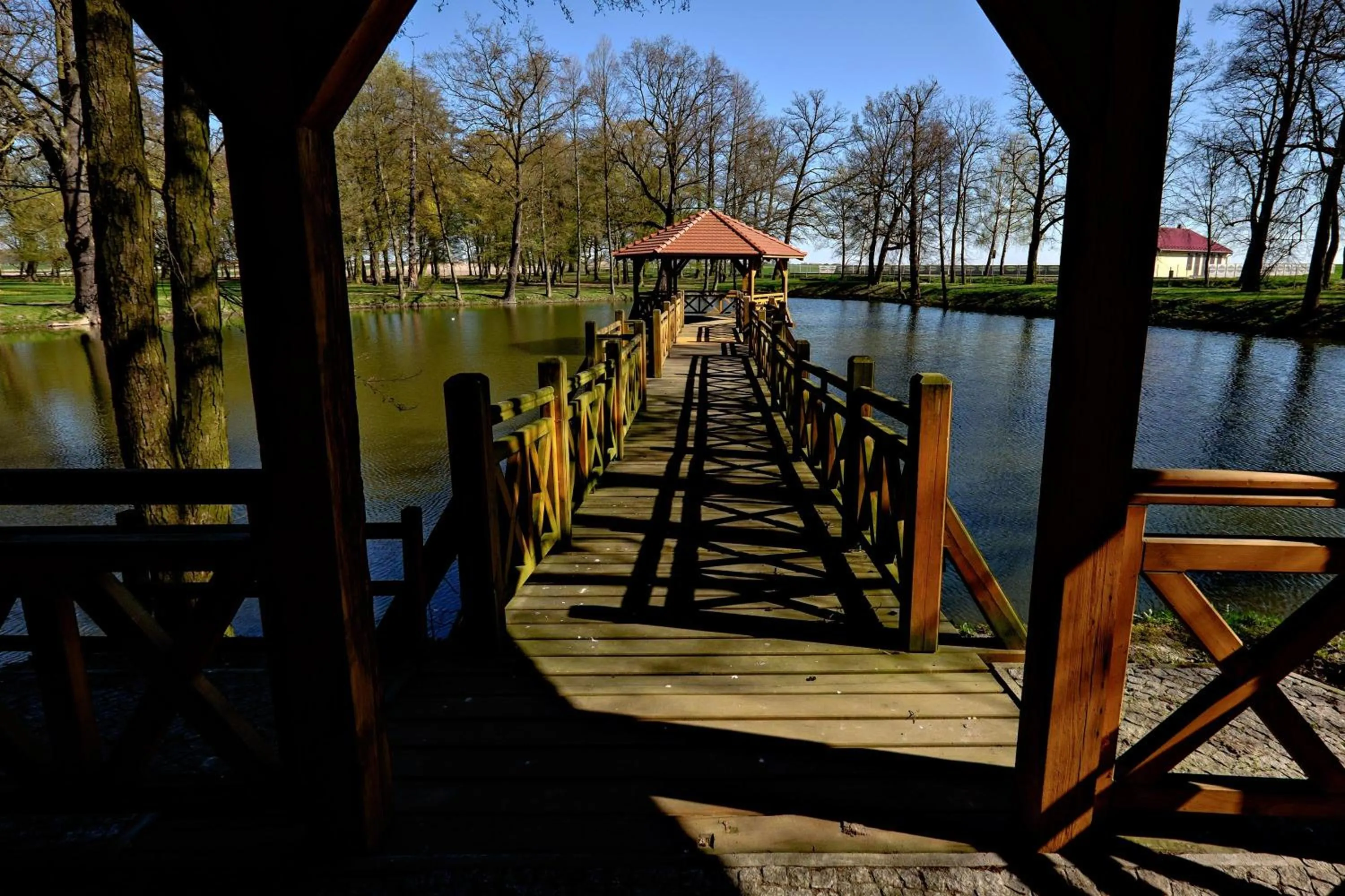 Lake view in Dwór Stary Chotów