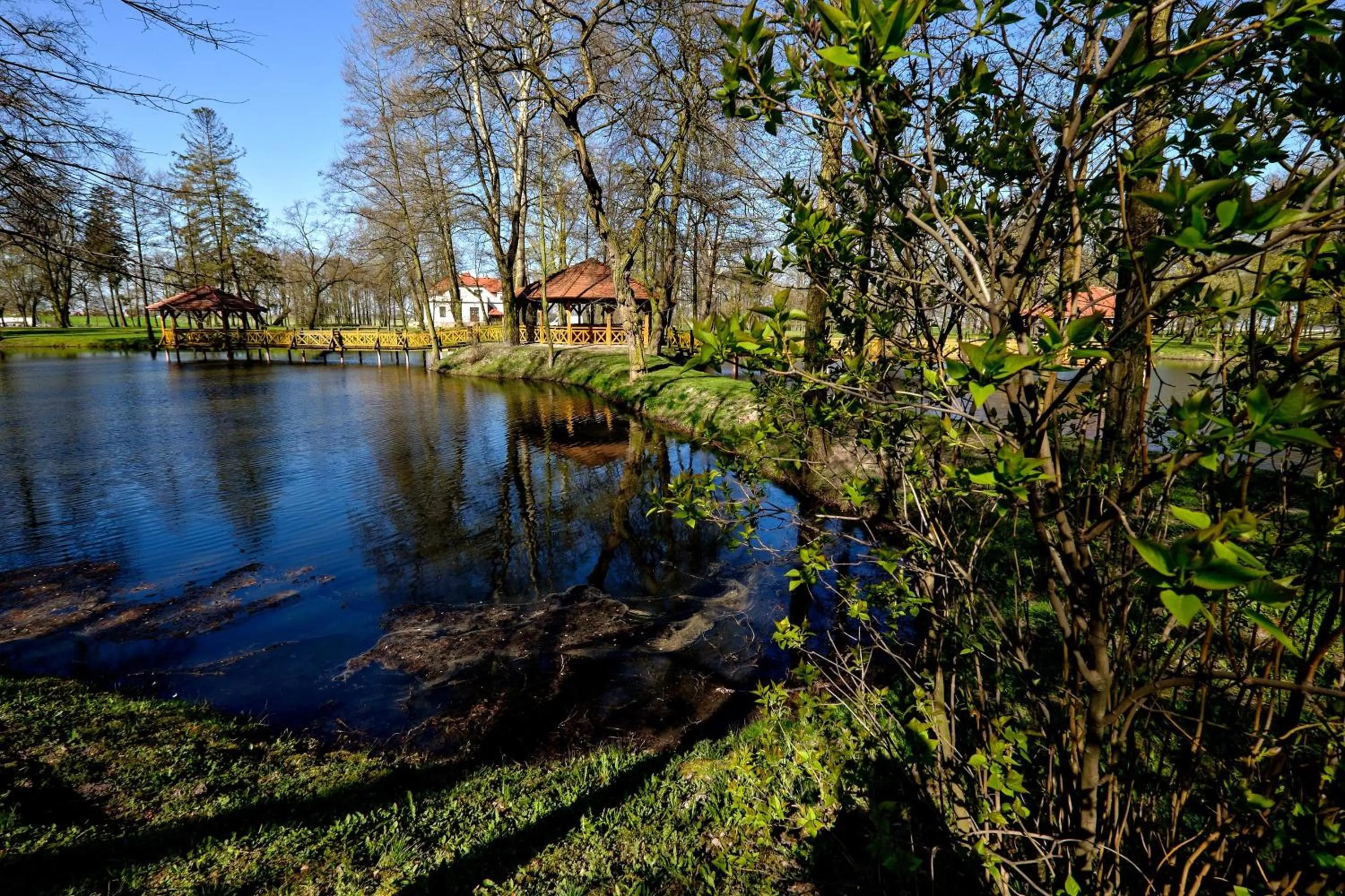 Natural landscape in Dwór Stary Chotów