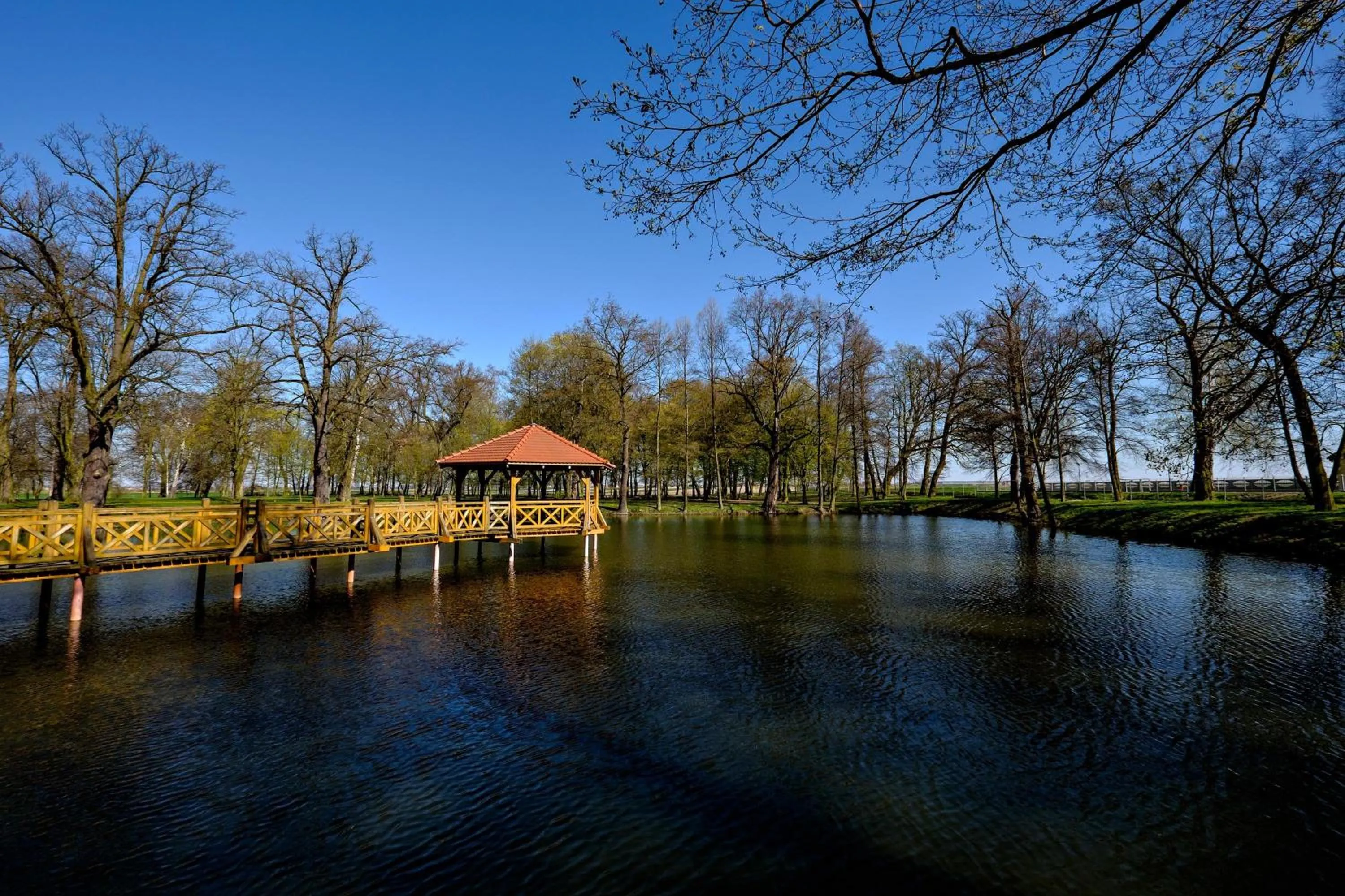 Lake view in Dwór Stary Chotów