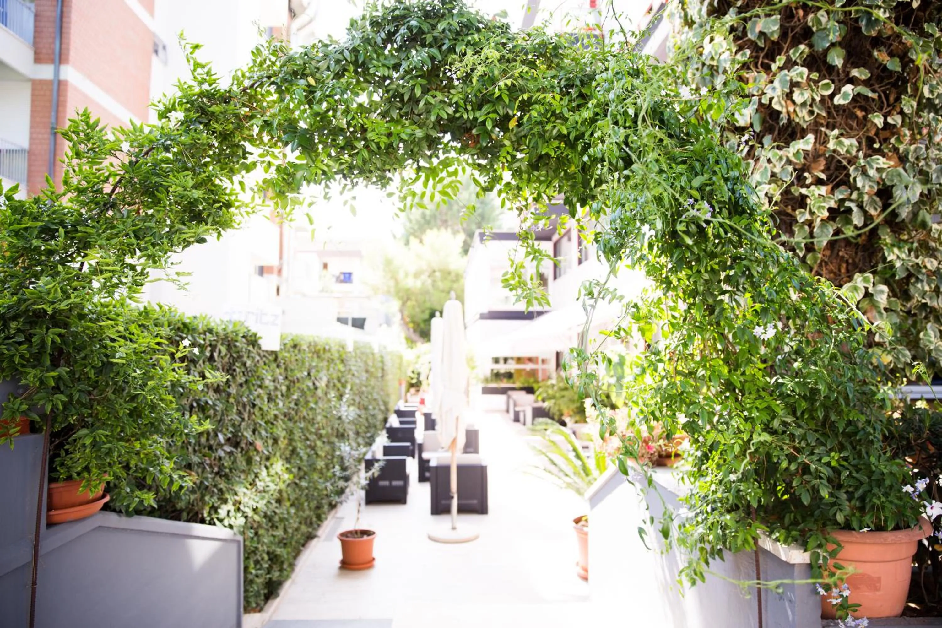 Garden in Zenit Hotel