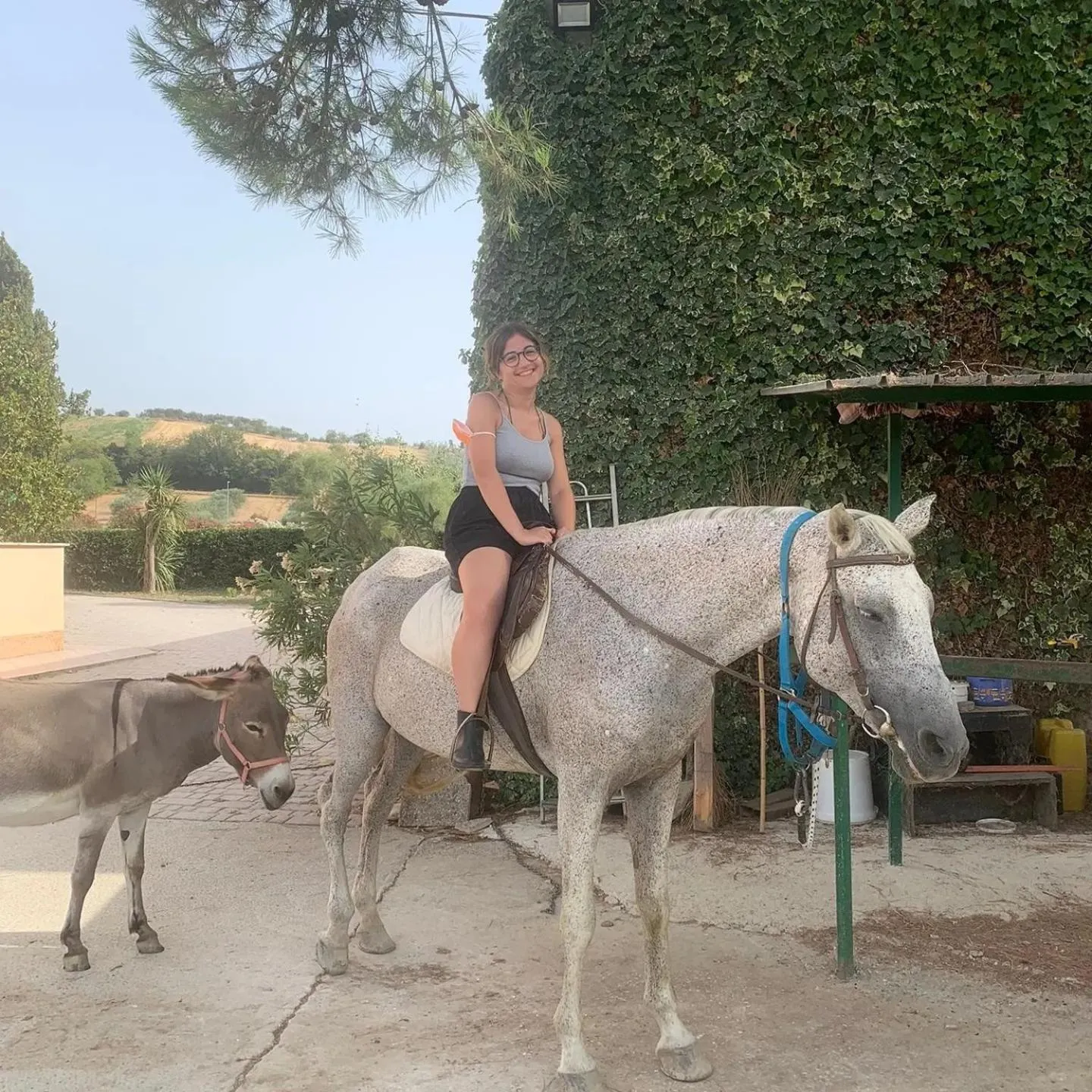 Guests in Zenit Hotel