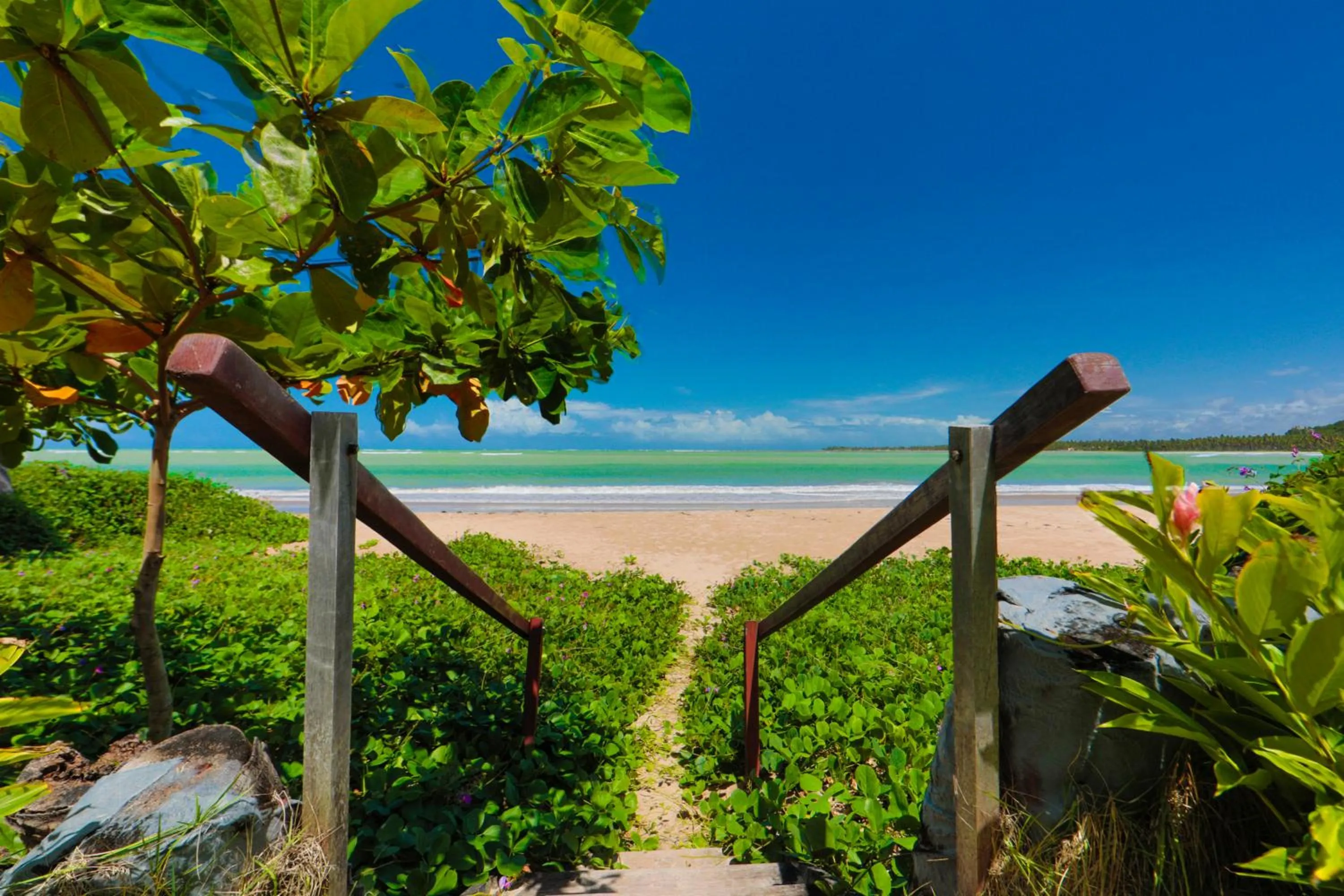 Natural landscape in Pousada Humaitá