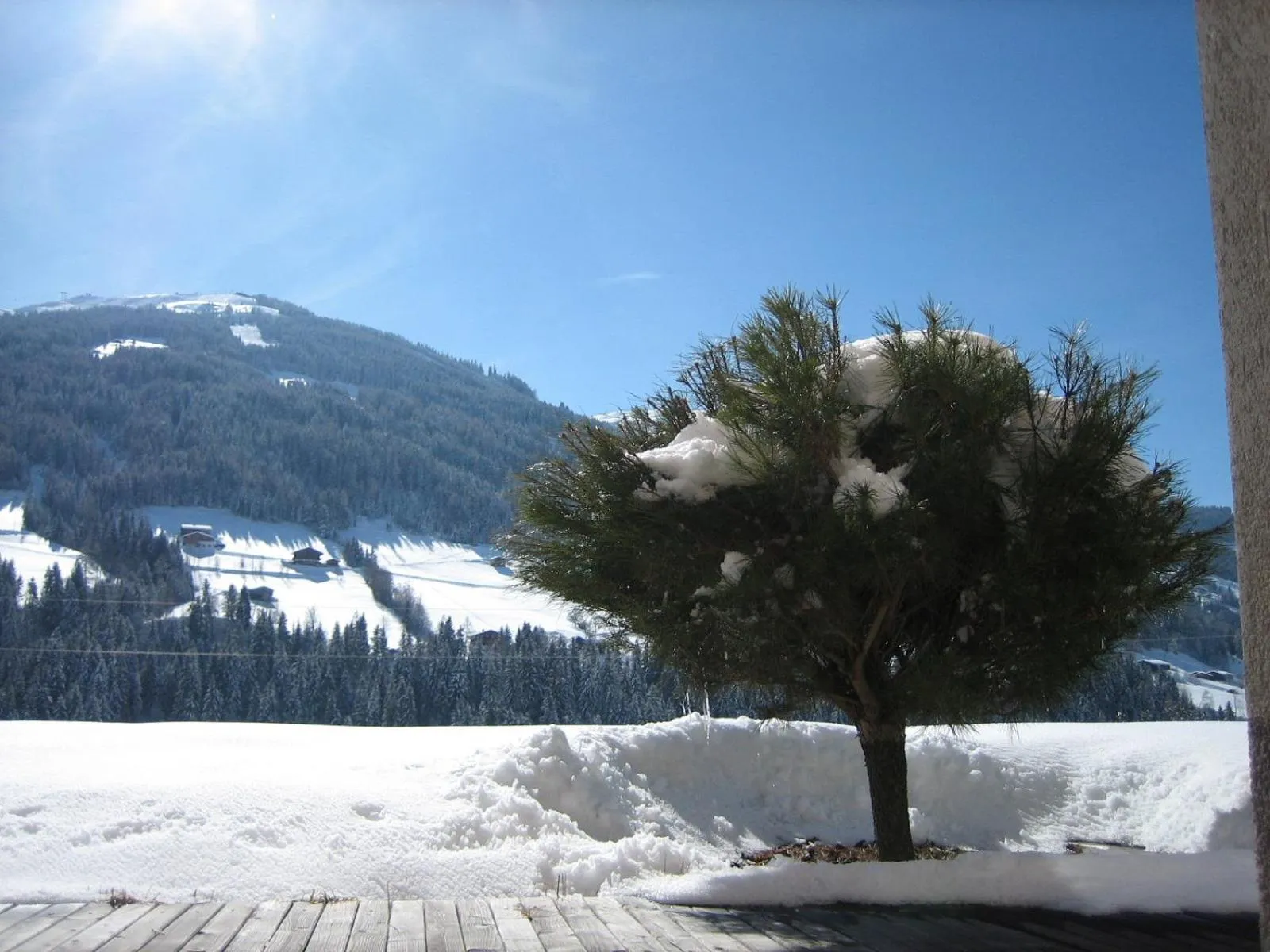 Natural landscape in Hotel Andreas