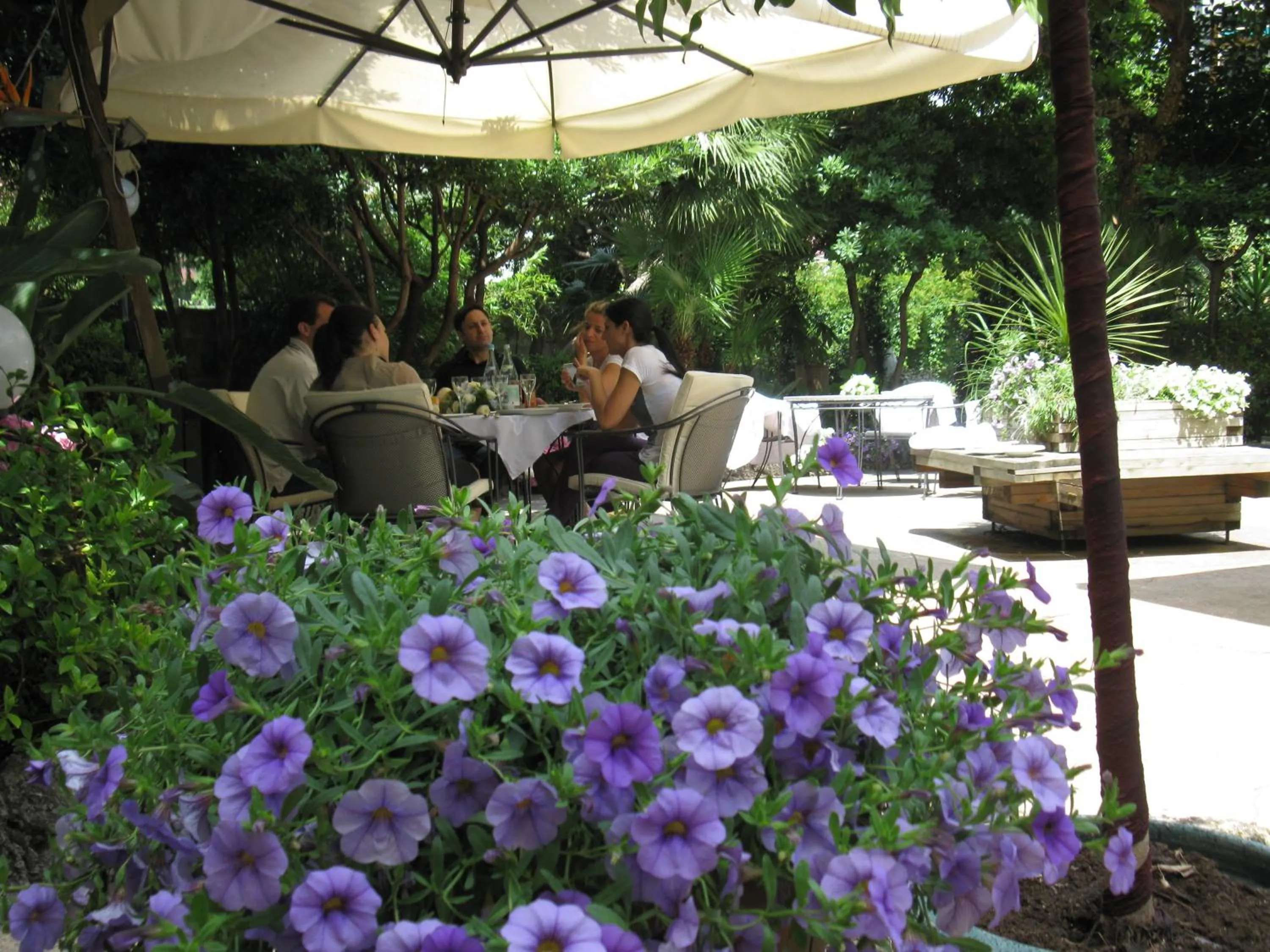 Garden in Hotel Miramare