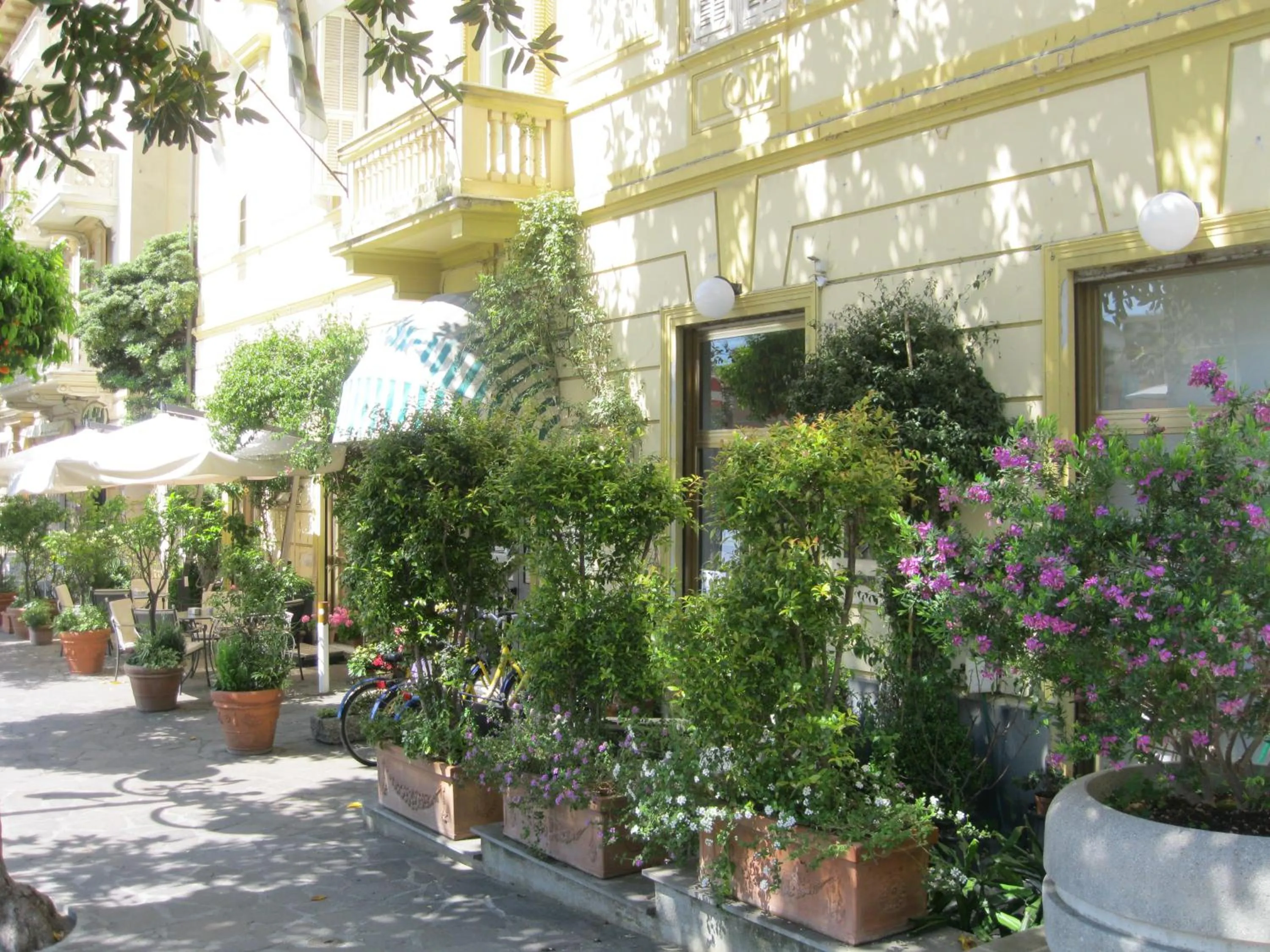 Facade/entrance in Hotel Miramare