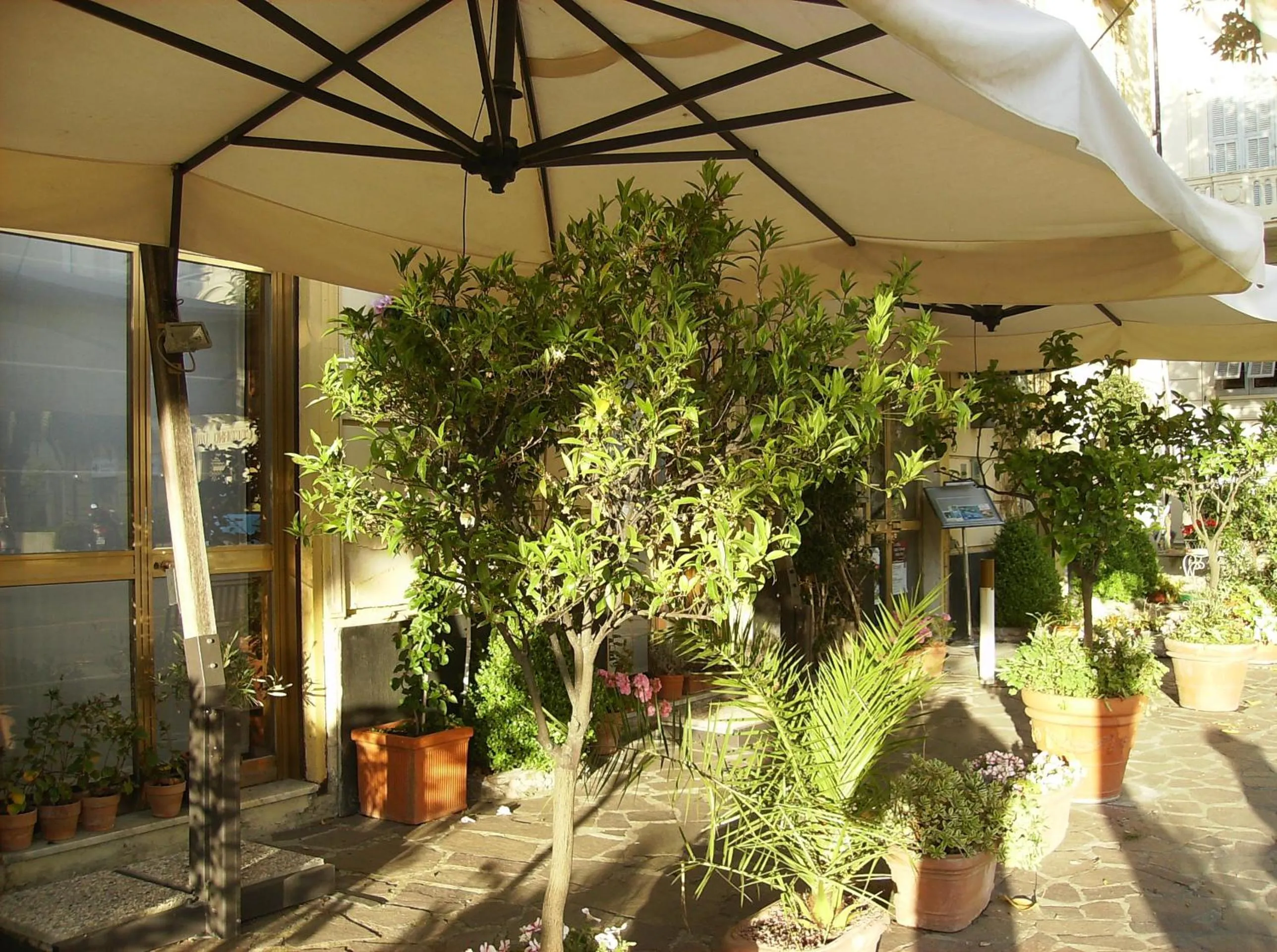 Garden in Hotel Miramare