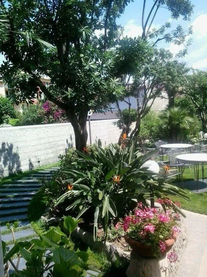 Patio in Hotel Miramare