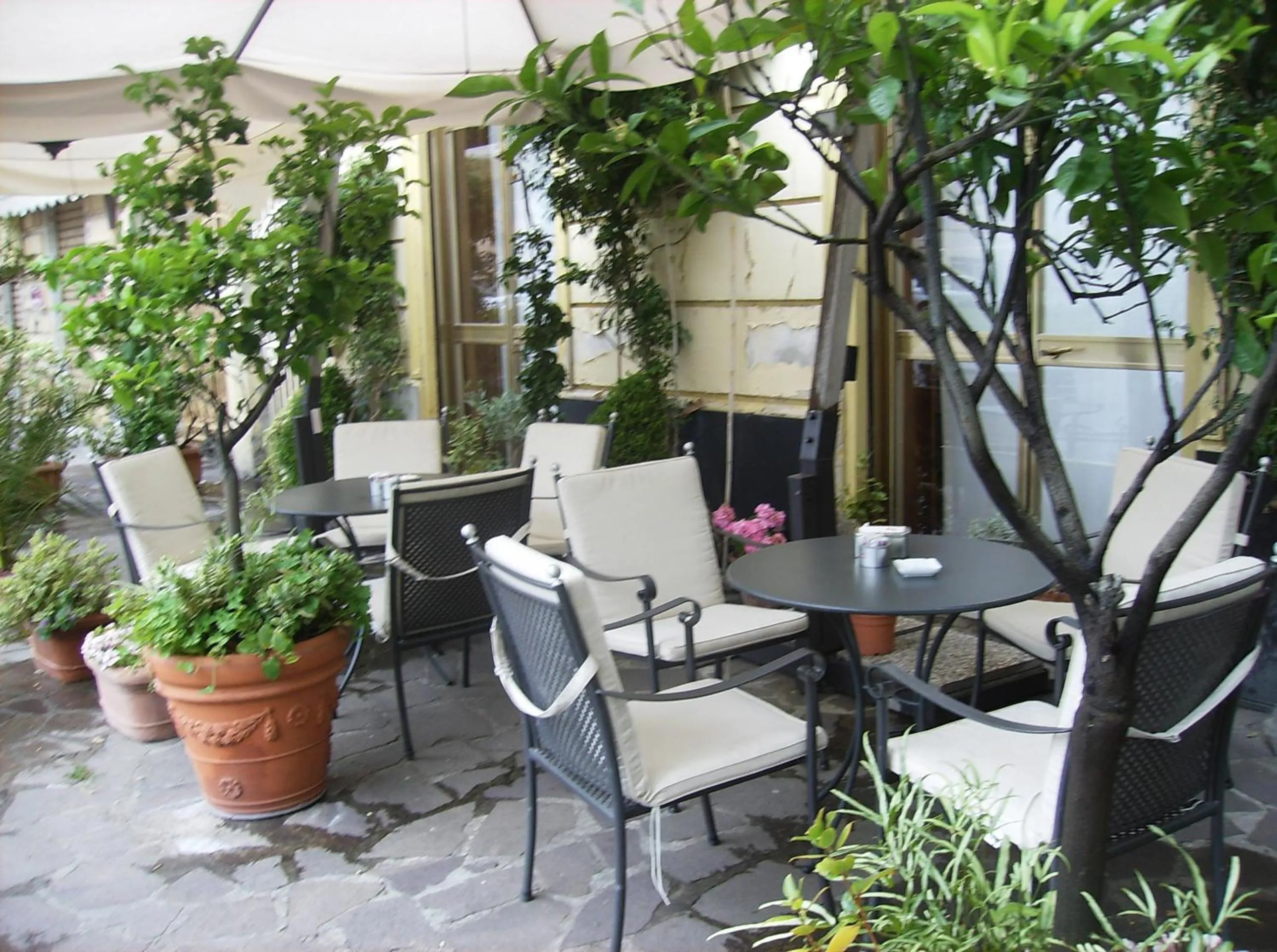 Garden in Hotel Miramare