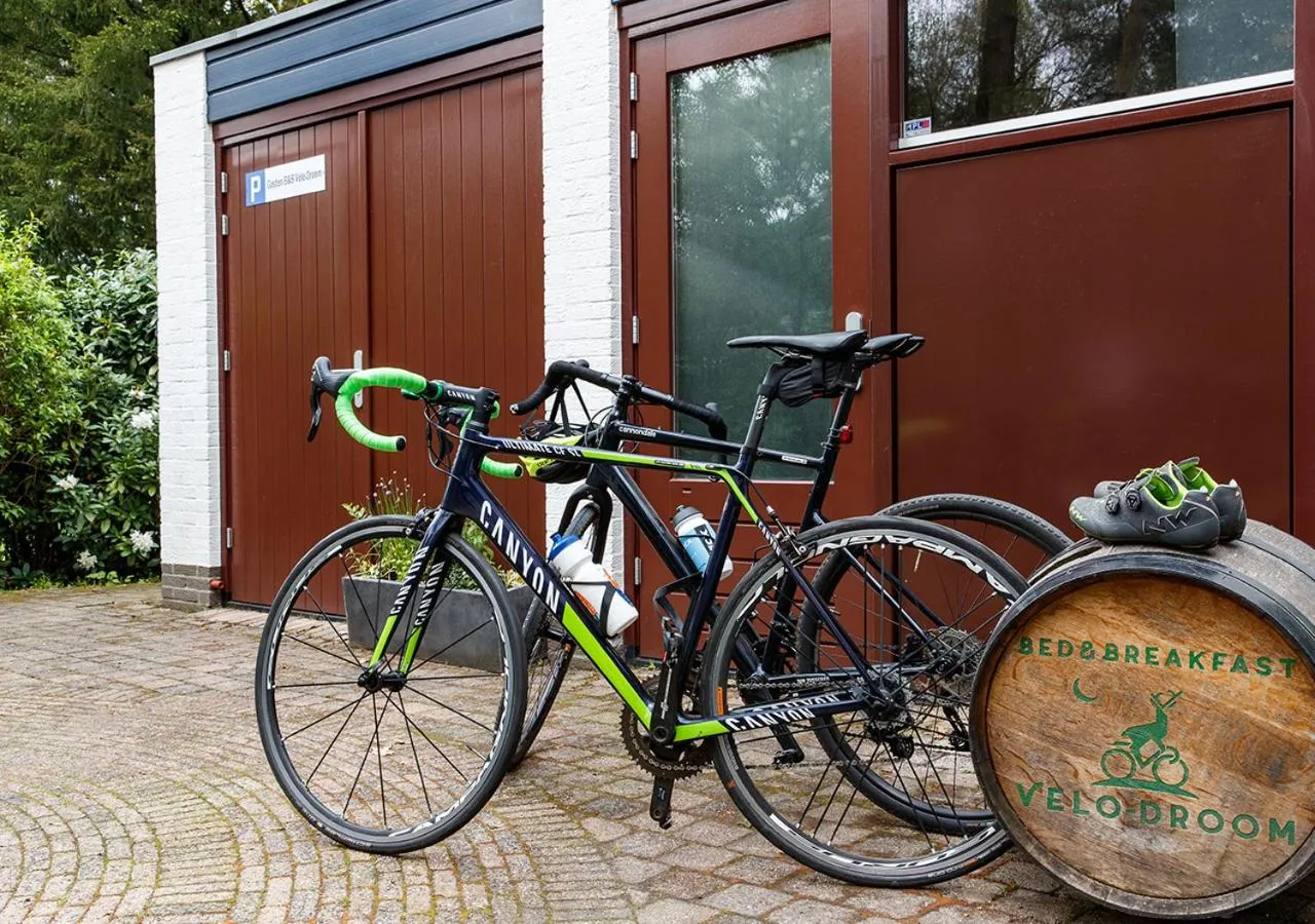 Cycling in Velo-Droom