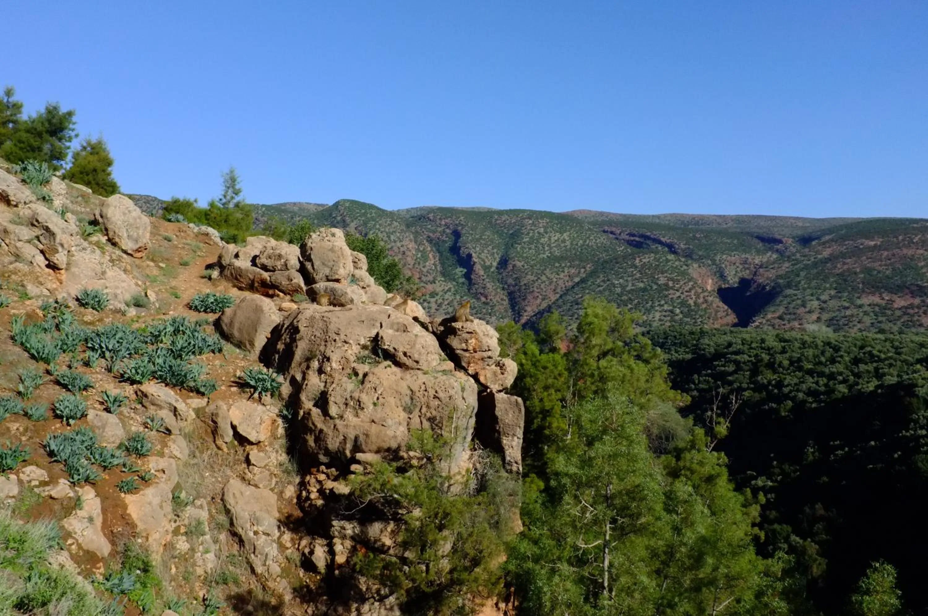 Hiking in Riad Cascades d'Ouzoud