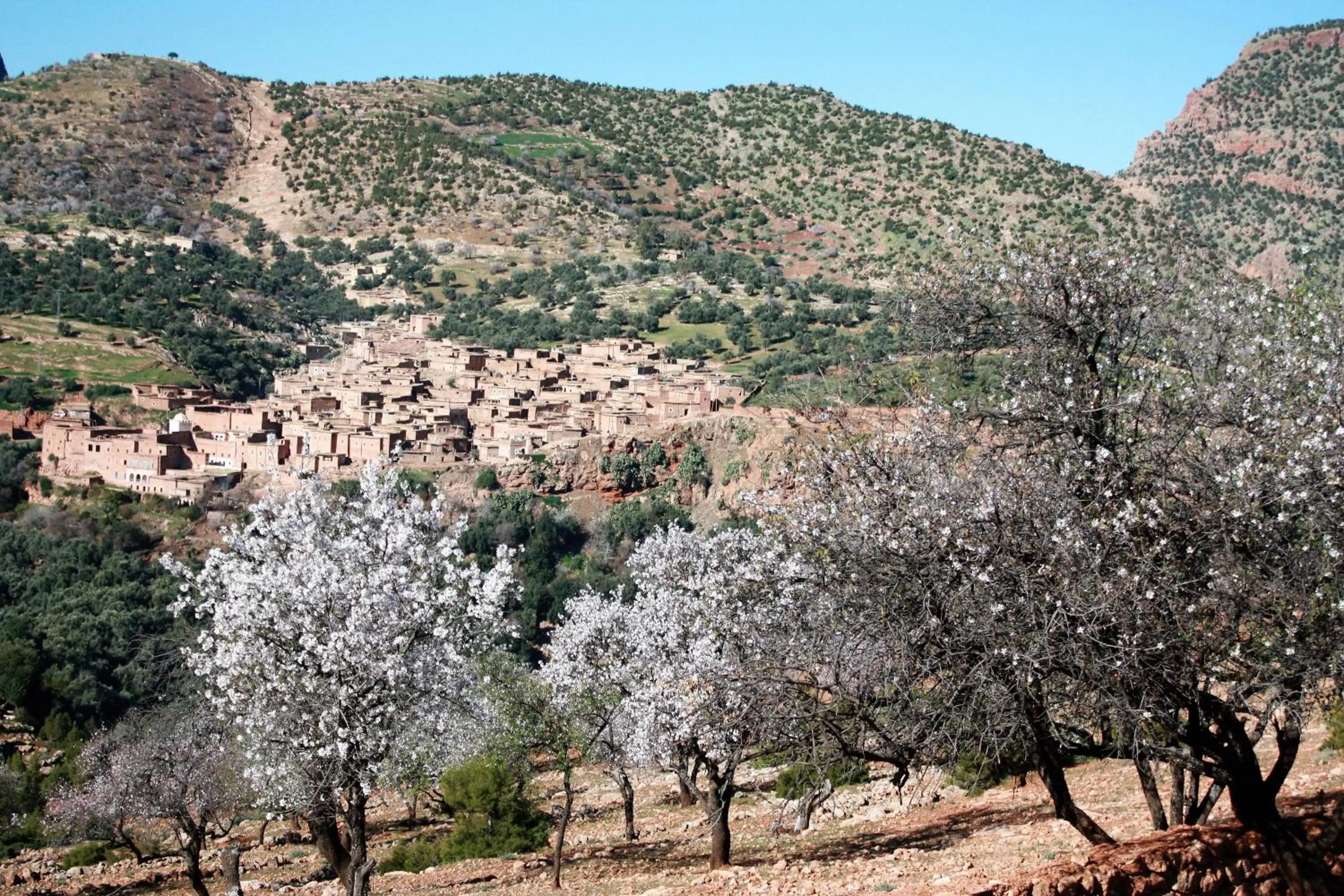 Riad Cascades d'Ouzoud