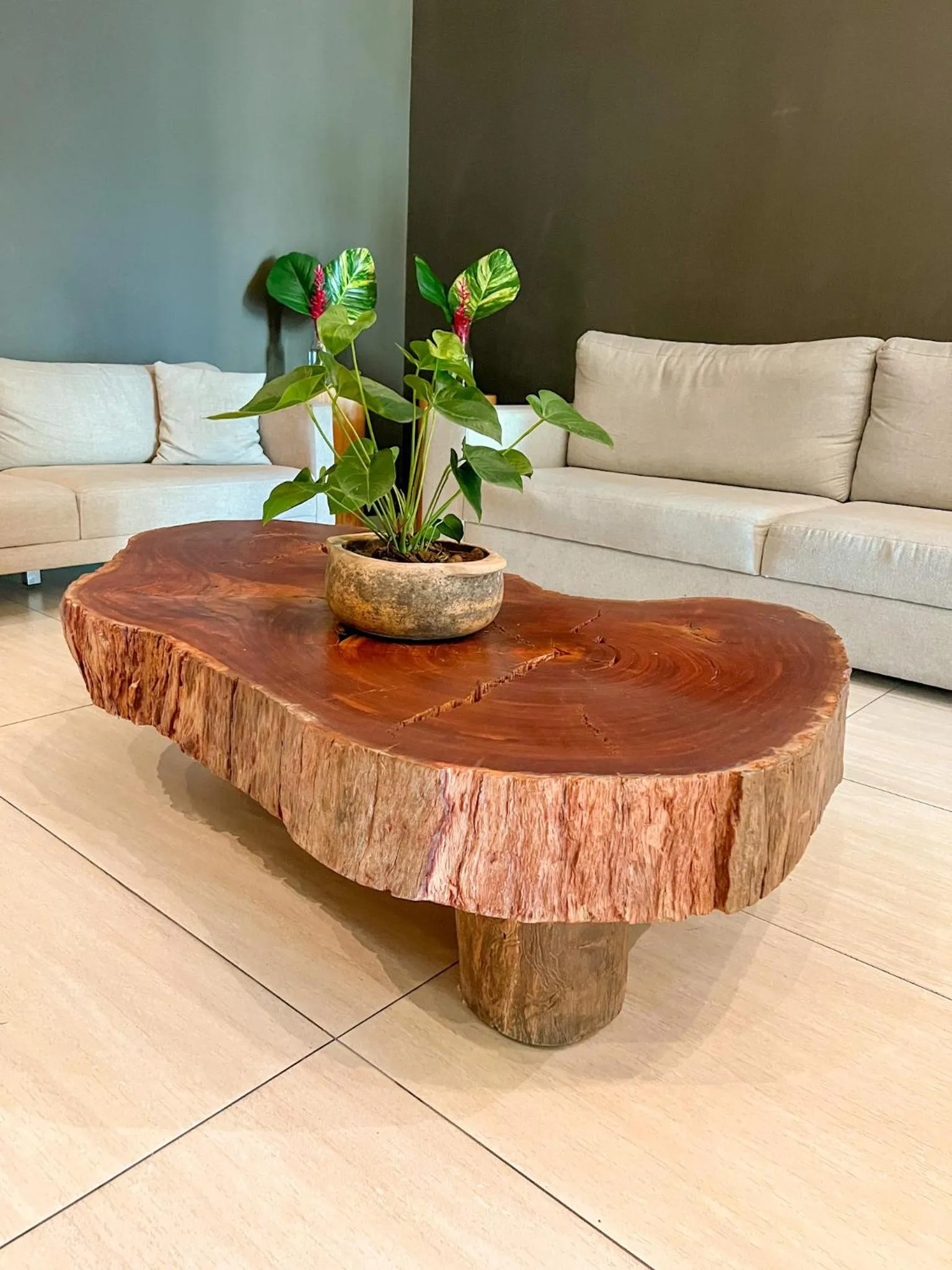 Lobby or reception in Promenade Soho Campos dos Goytacazes