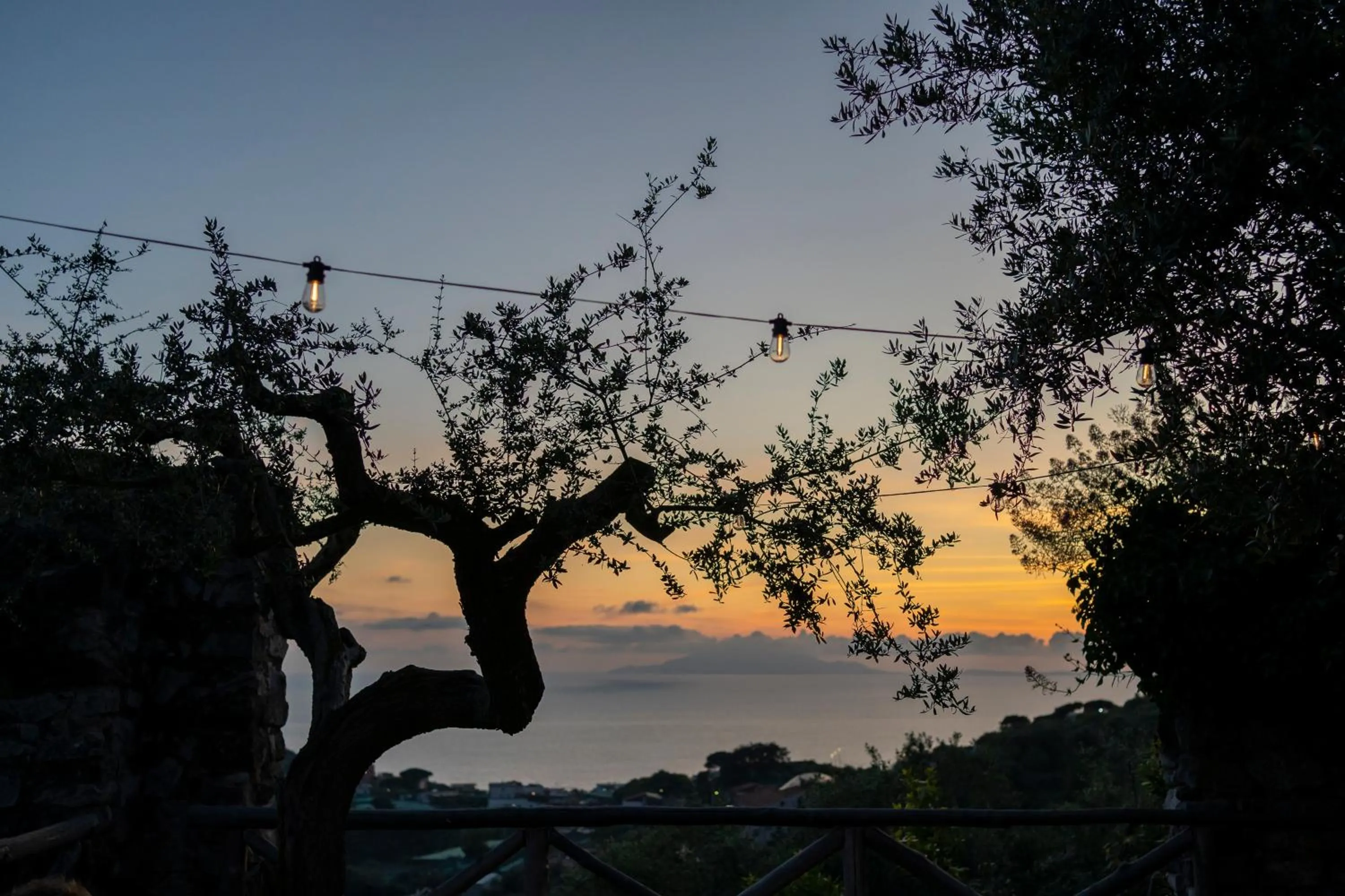 Garden view in Villa il Turro