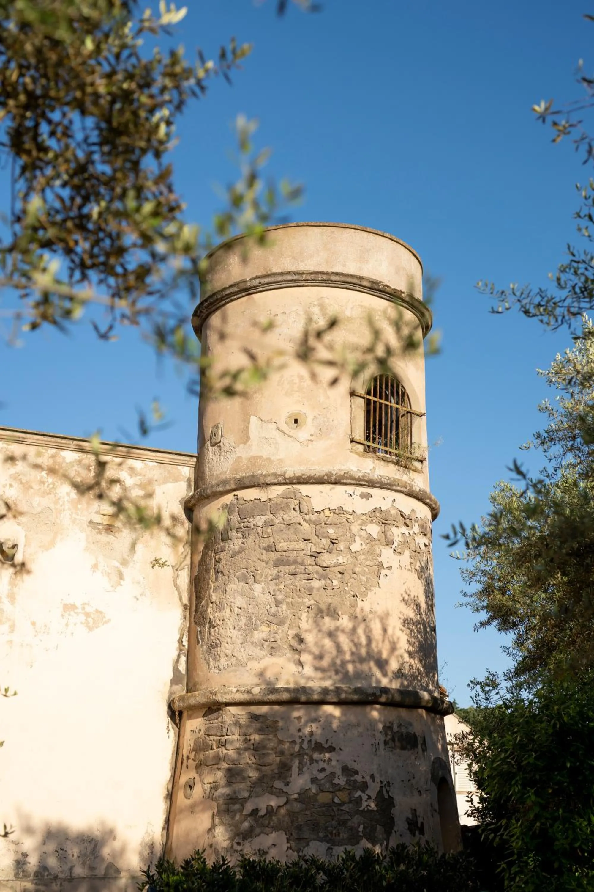 Garden in Villa il Turro