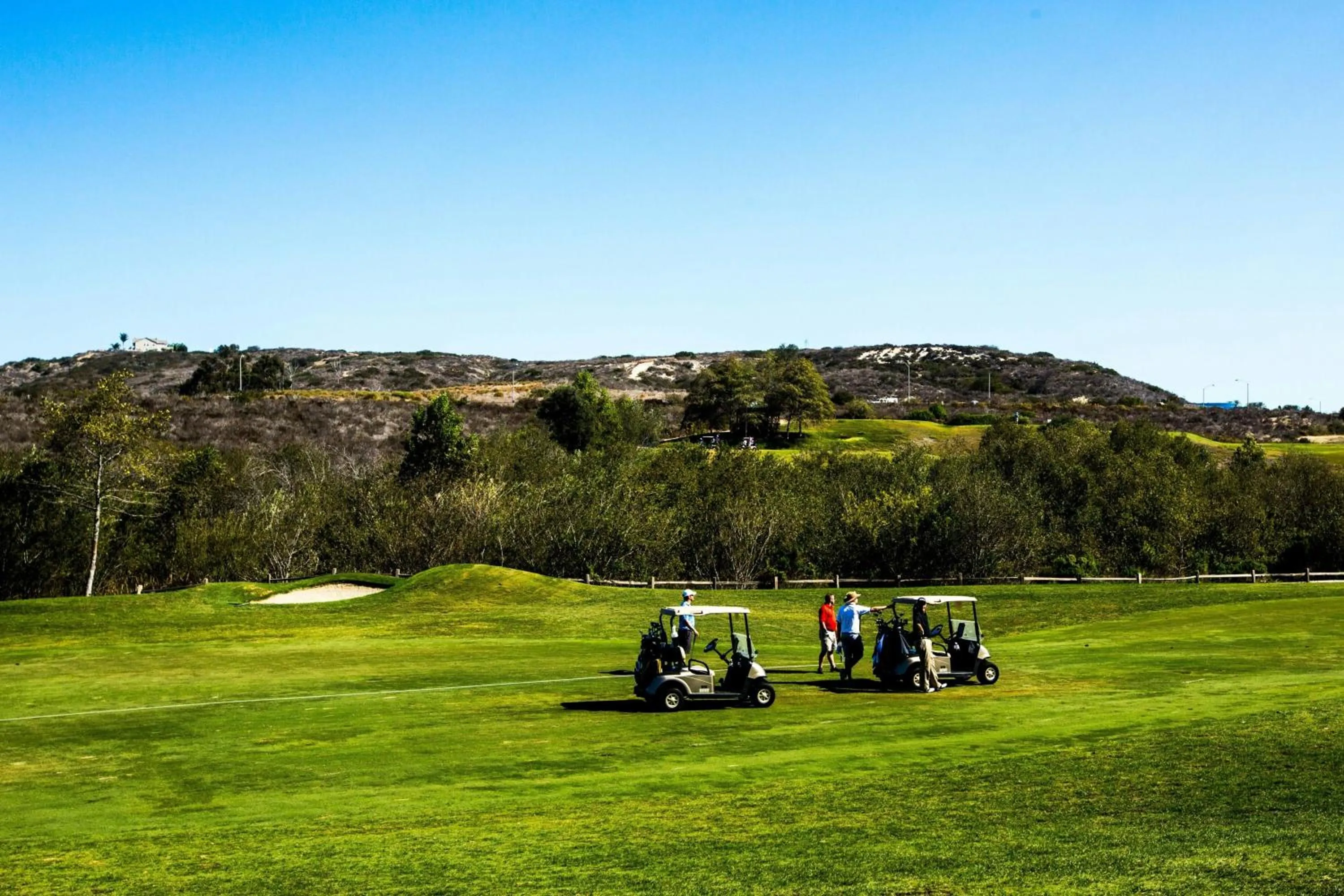 Other in Sheraton Carlsbad Resort & Spa