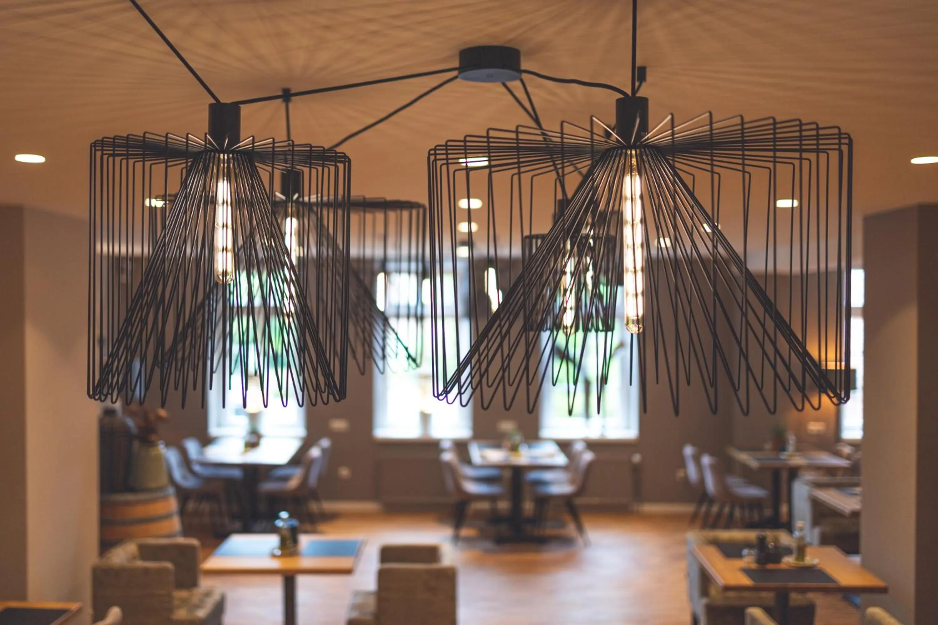 Restaurant/places to eat in Landart Hotel