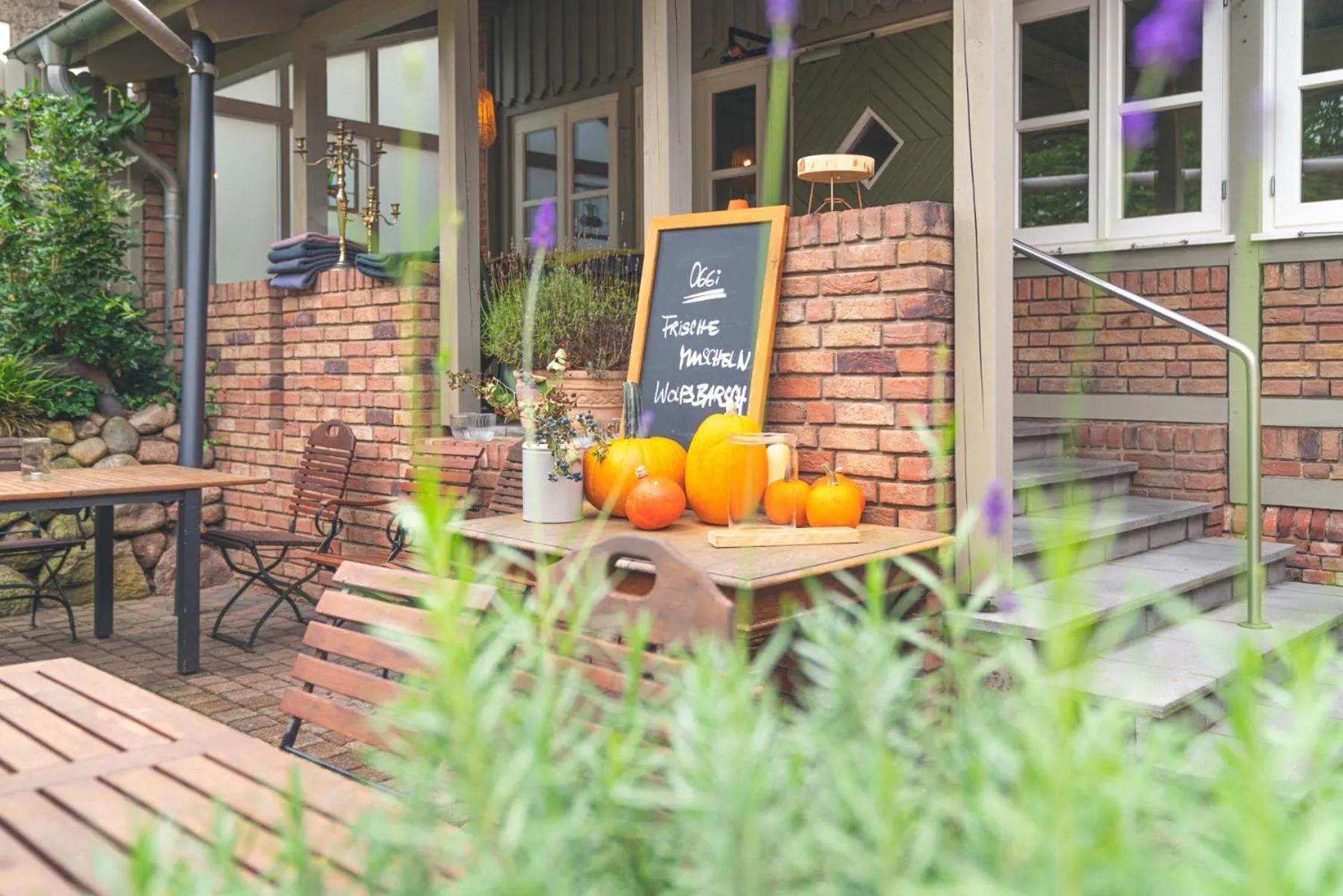 Garden in Landart Hotel