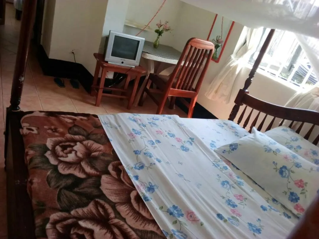 Bed in Rena Akasha Establishments