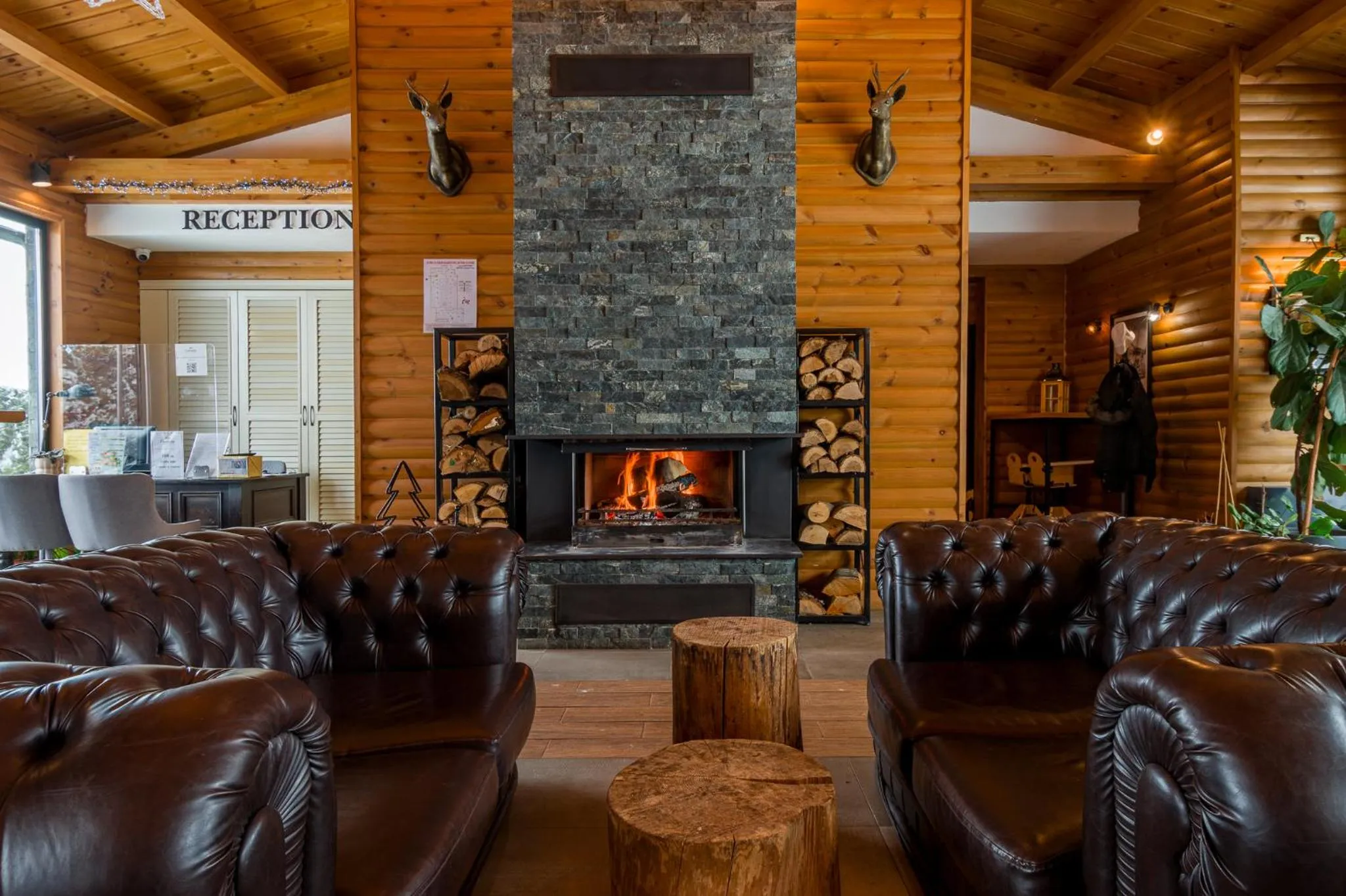 Living room in Cornelia Deluxe Residence