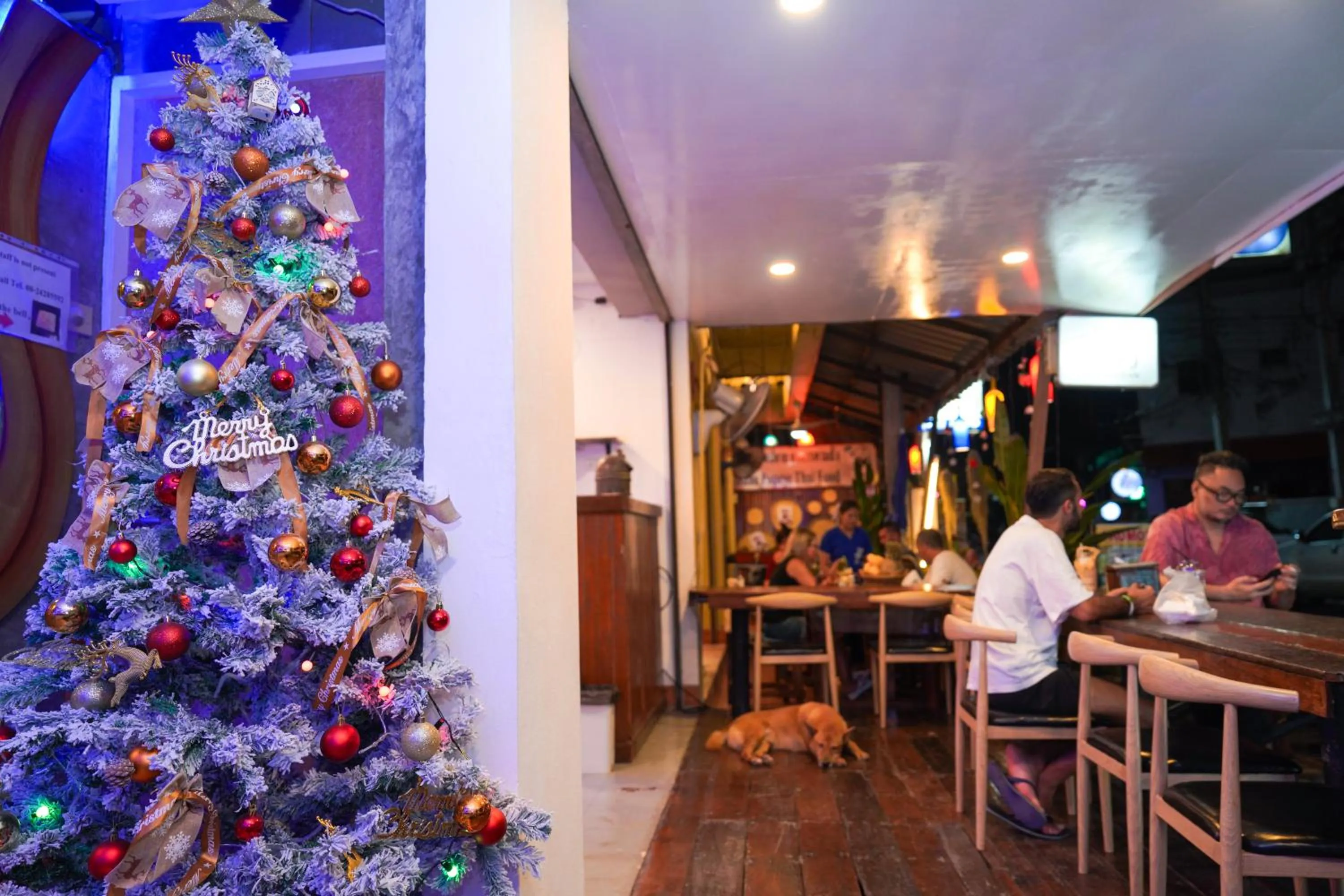 Restaurant/places to eat in Baan Kamala Backpacker