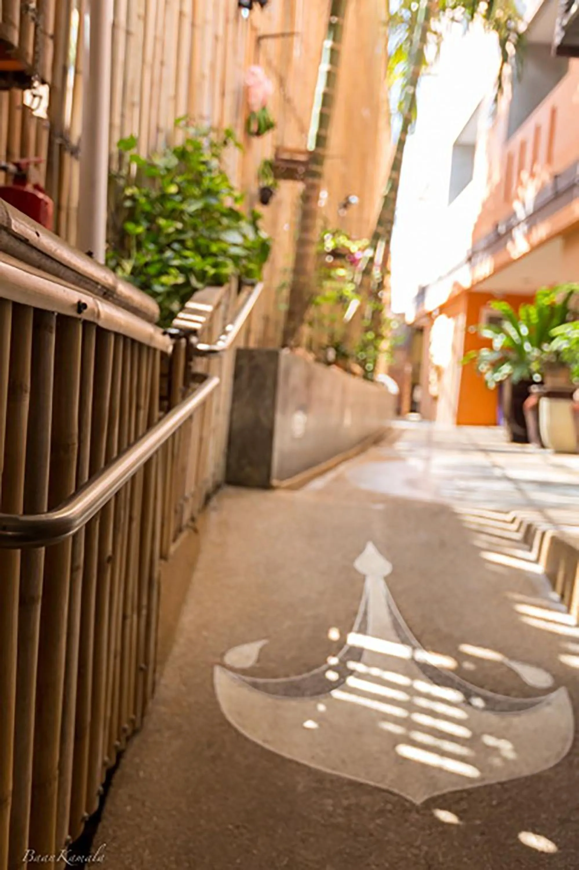 Garden in Baan Kamala Backpacker