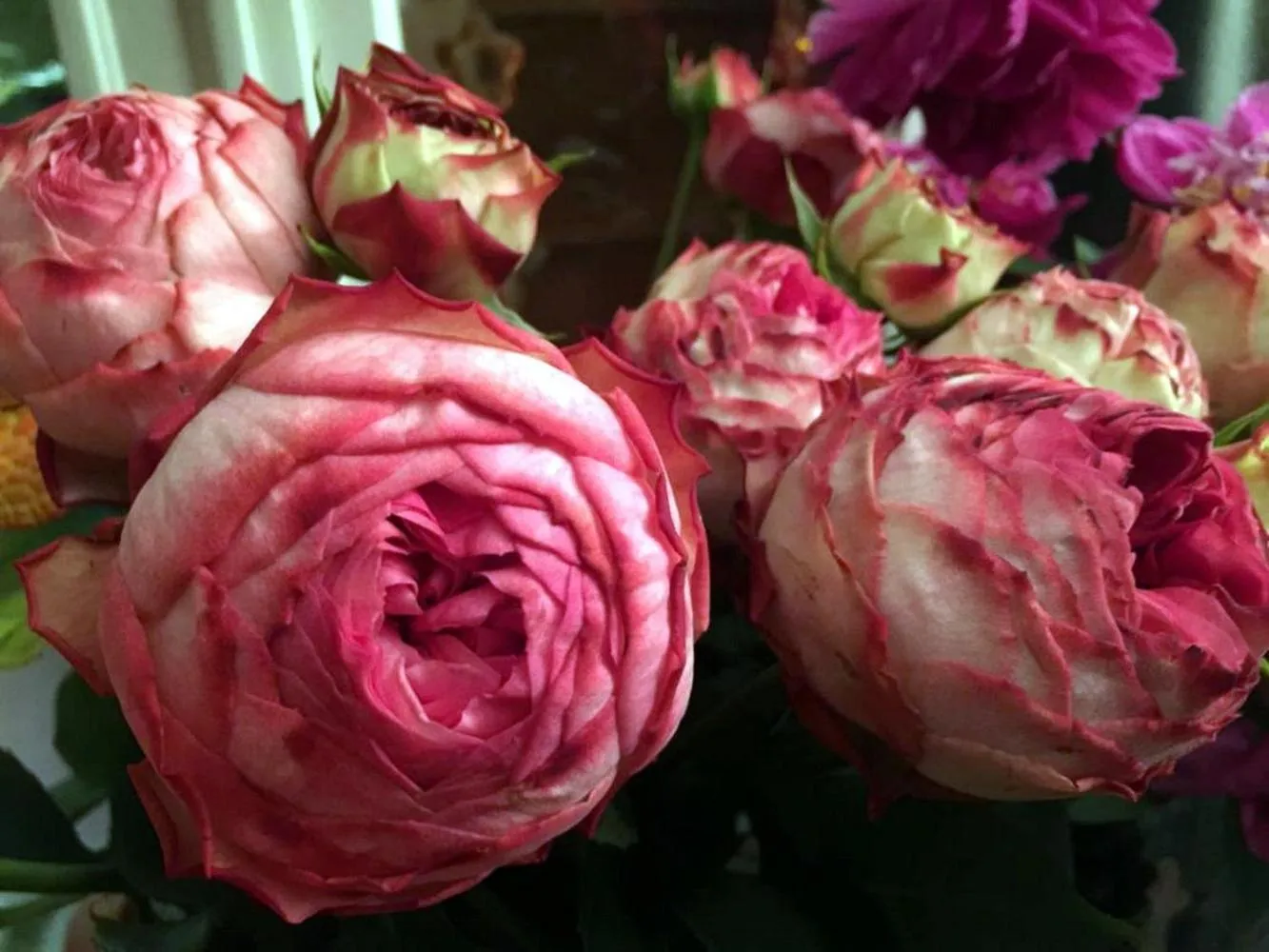 Property building in Boutique Hotel de la Place des Vosges