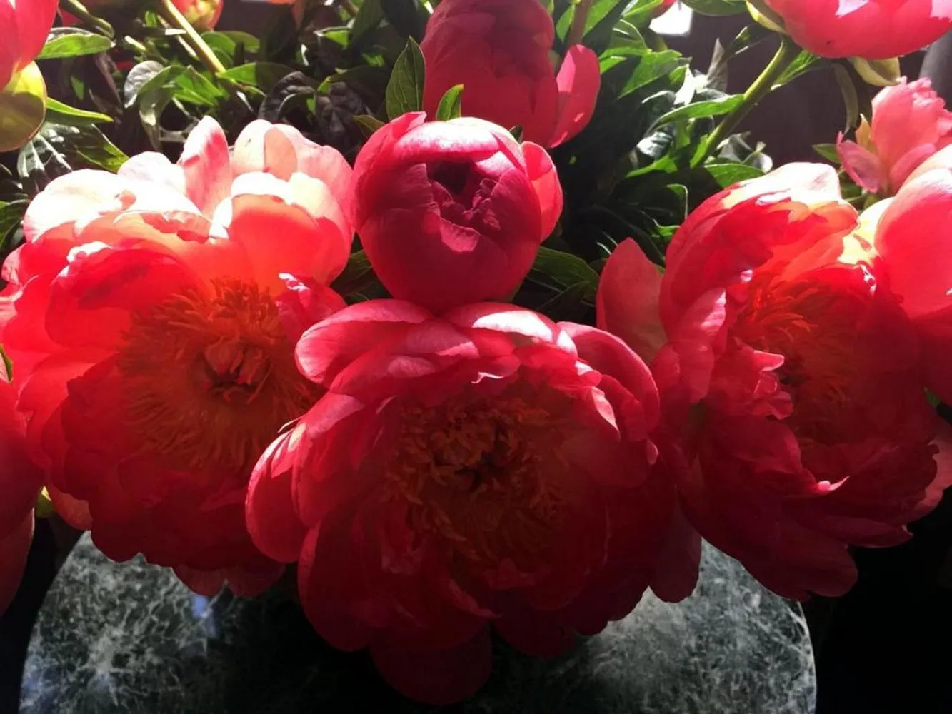 Property building in Boutique Hotel de la Place des Vosges