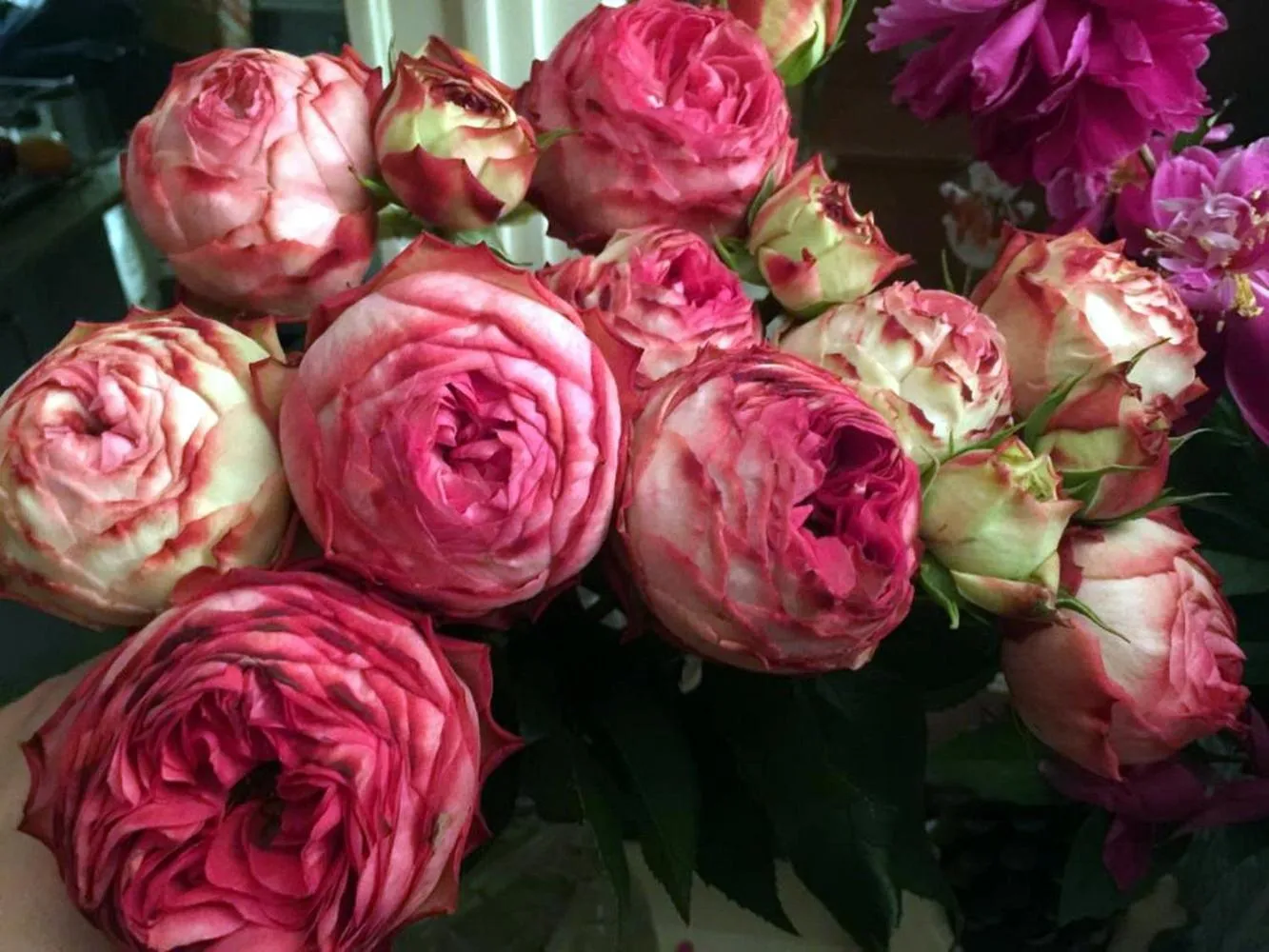 Property building in Boutique Hotel de la Place des Vosges