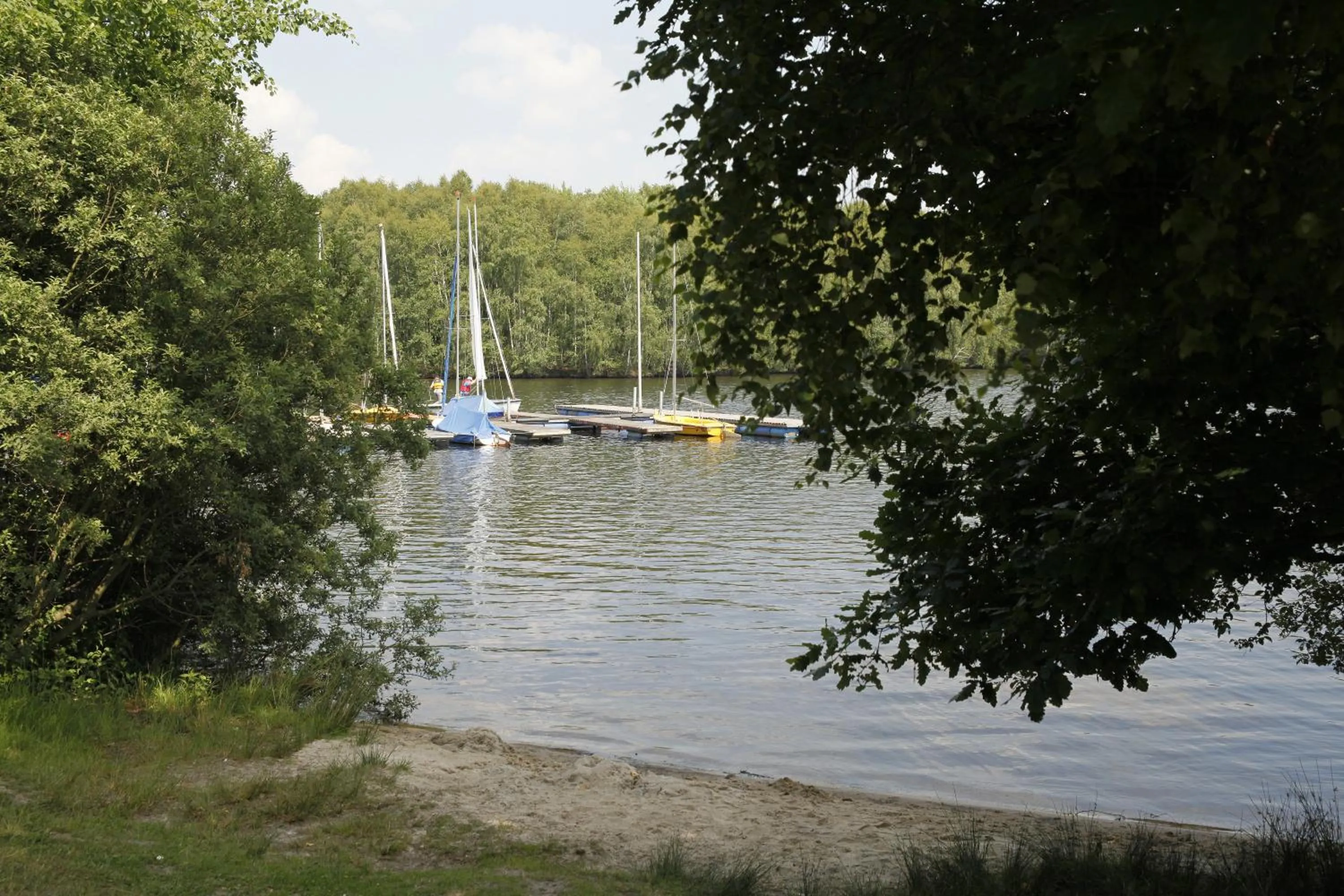 Natural landscape in Hotel Villa Will