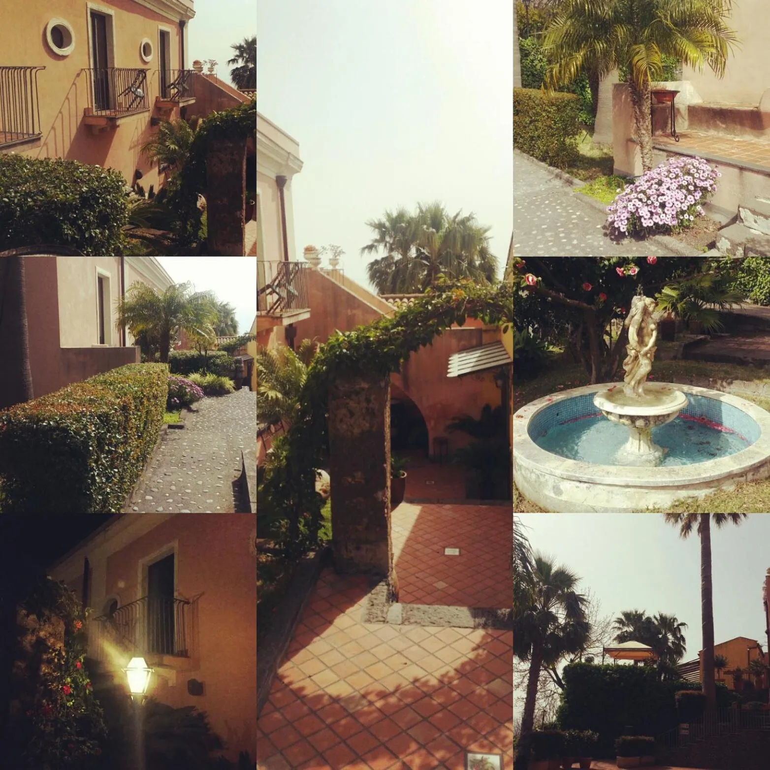 Restaurant/places to eat in IL Ciliegio Dell 'Etna