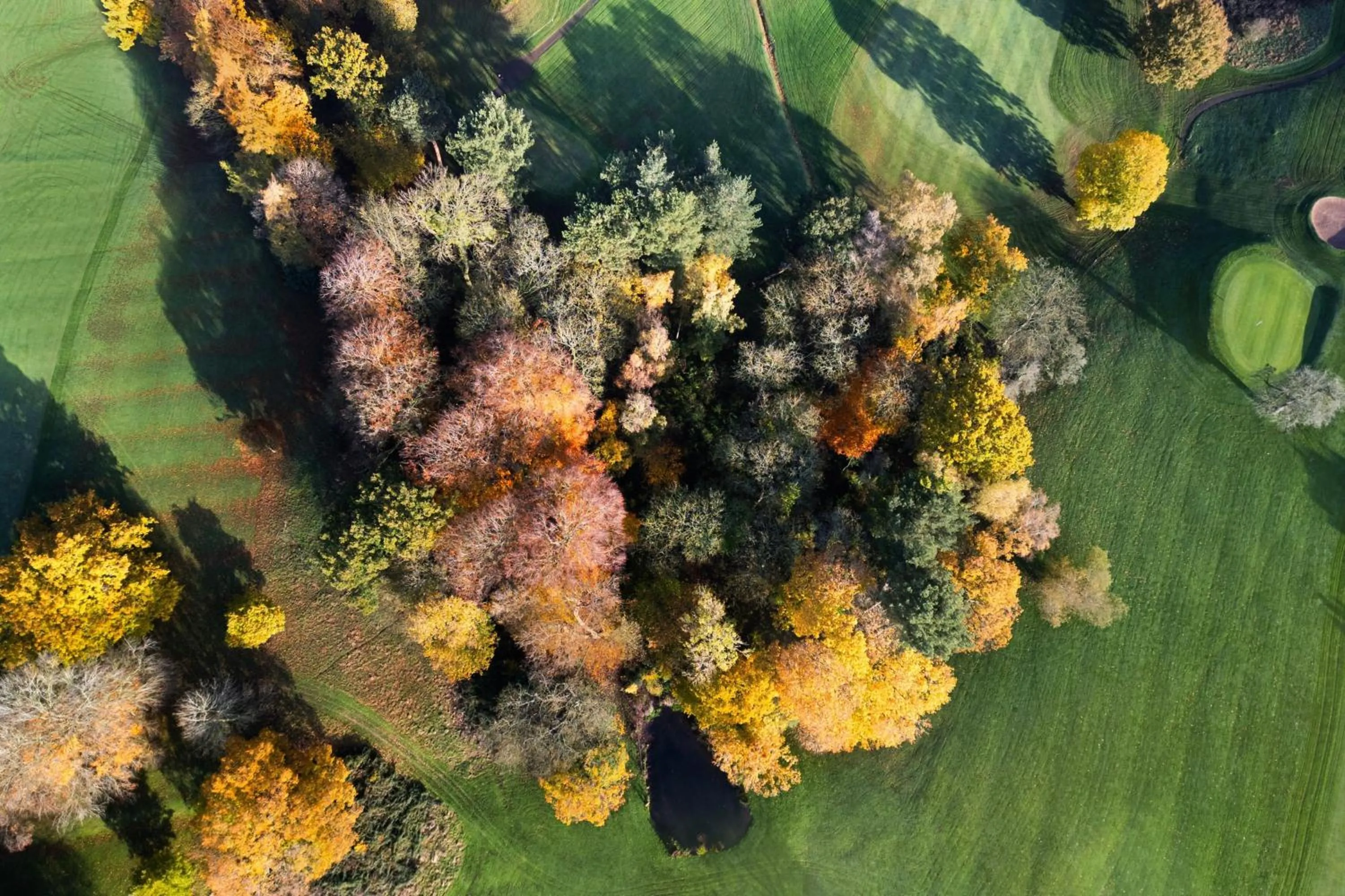 View (from property/room) in Delta Hotels by Marriott Breadsall Priory Country Club