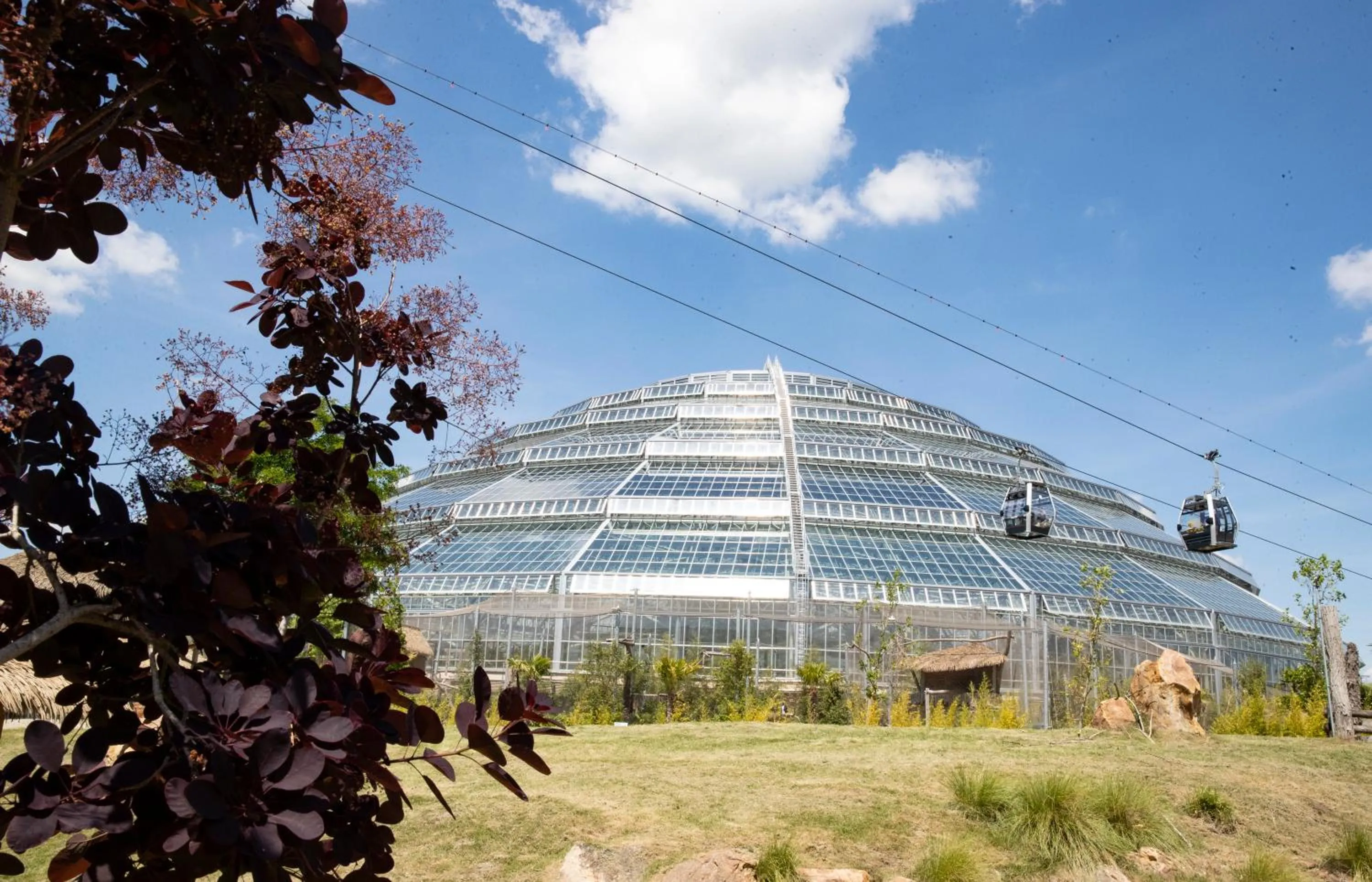 Grand Hôtel Saint-Aignan