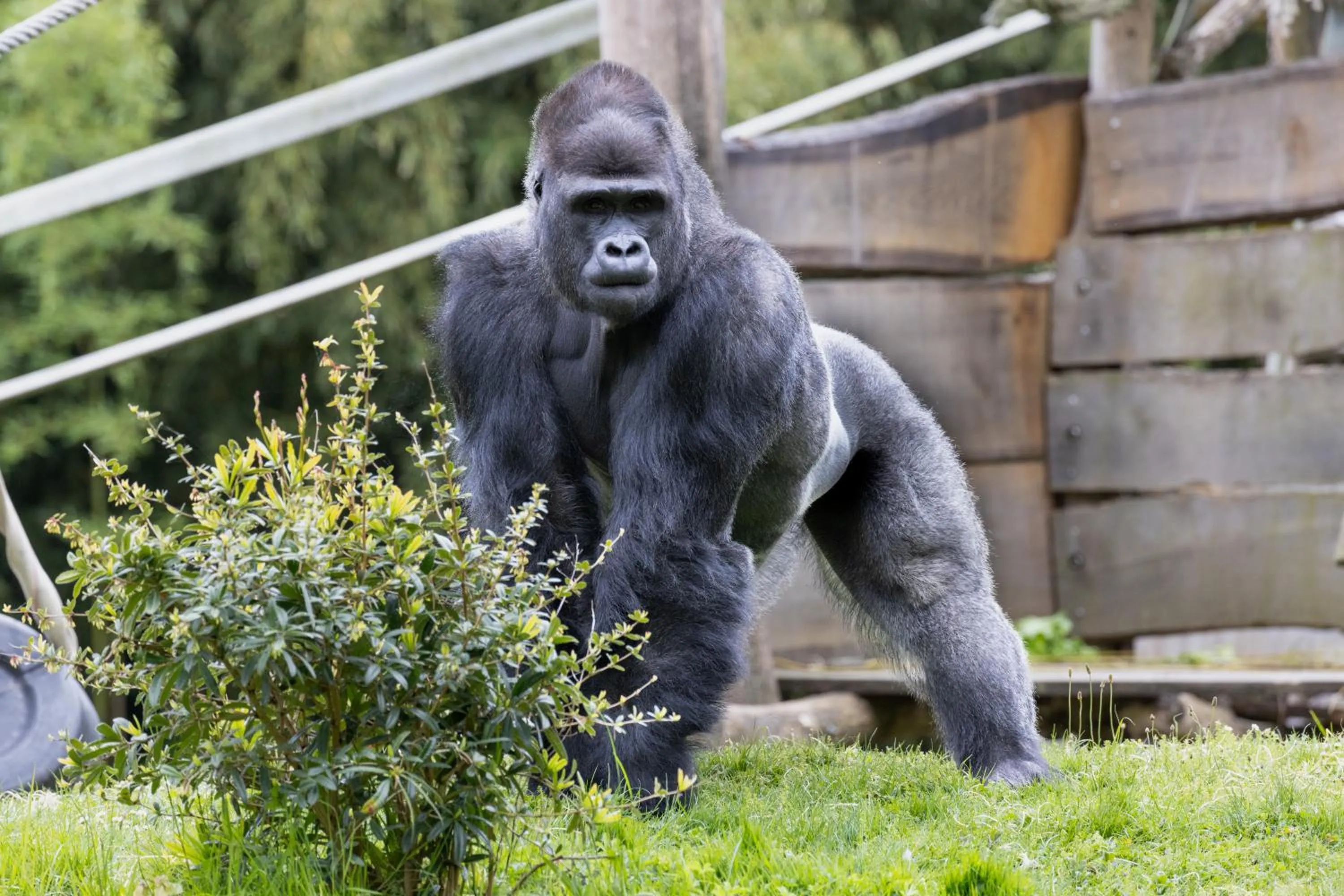 Grand Hôtel Saint-Aignan