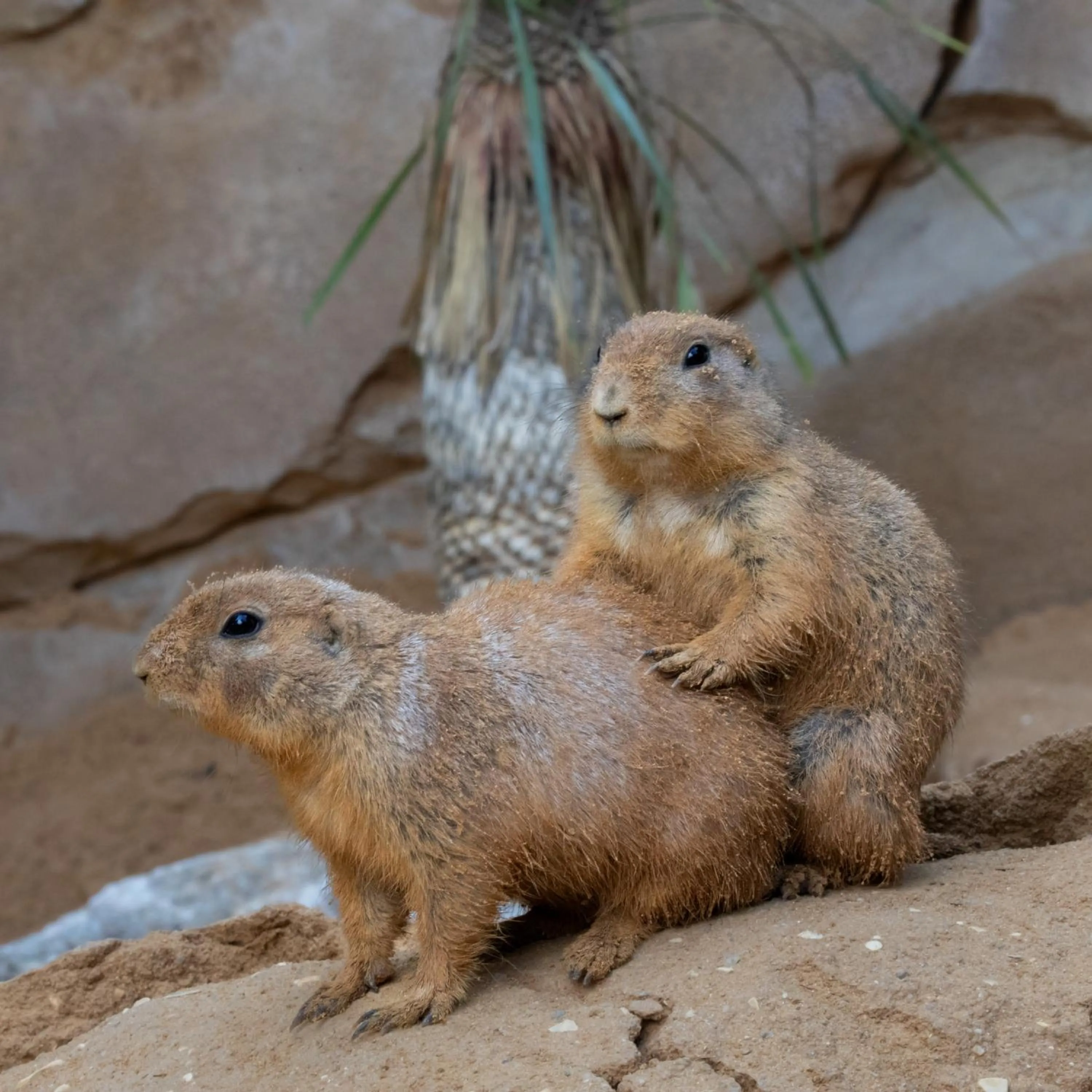 Grand Hôtel Saint-Aignan