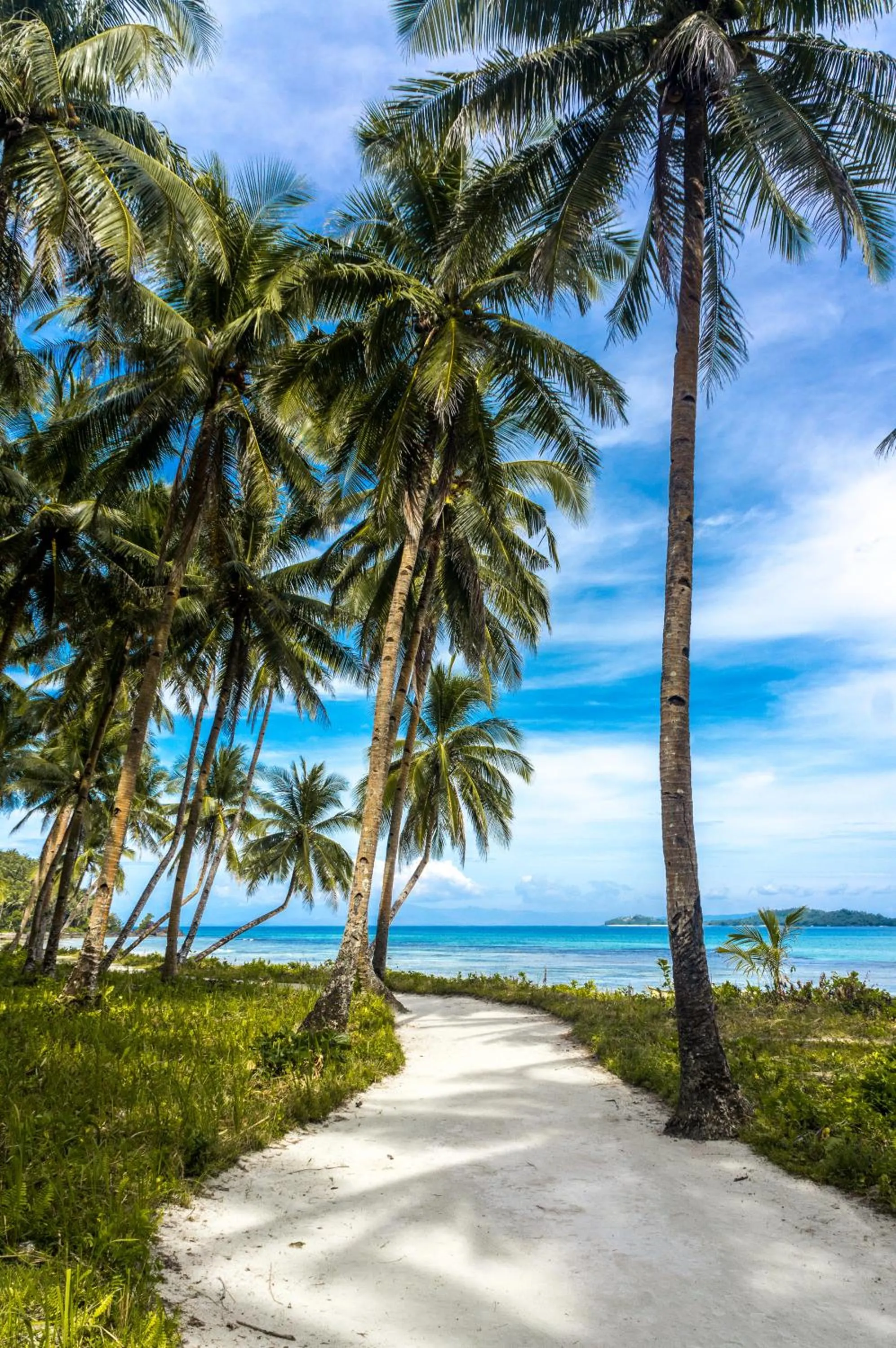 Property building in Aloha Hostel Siargao