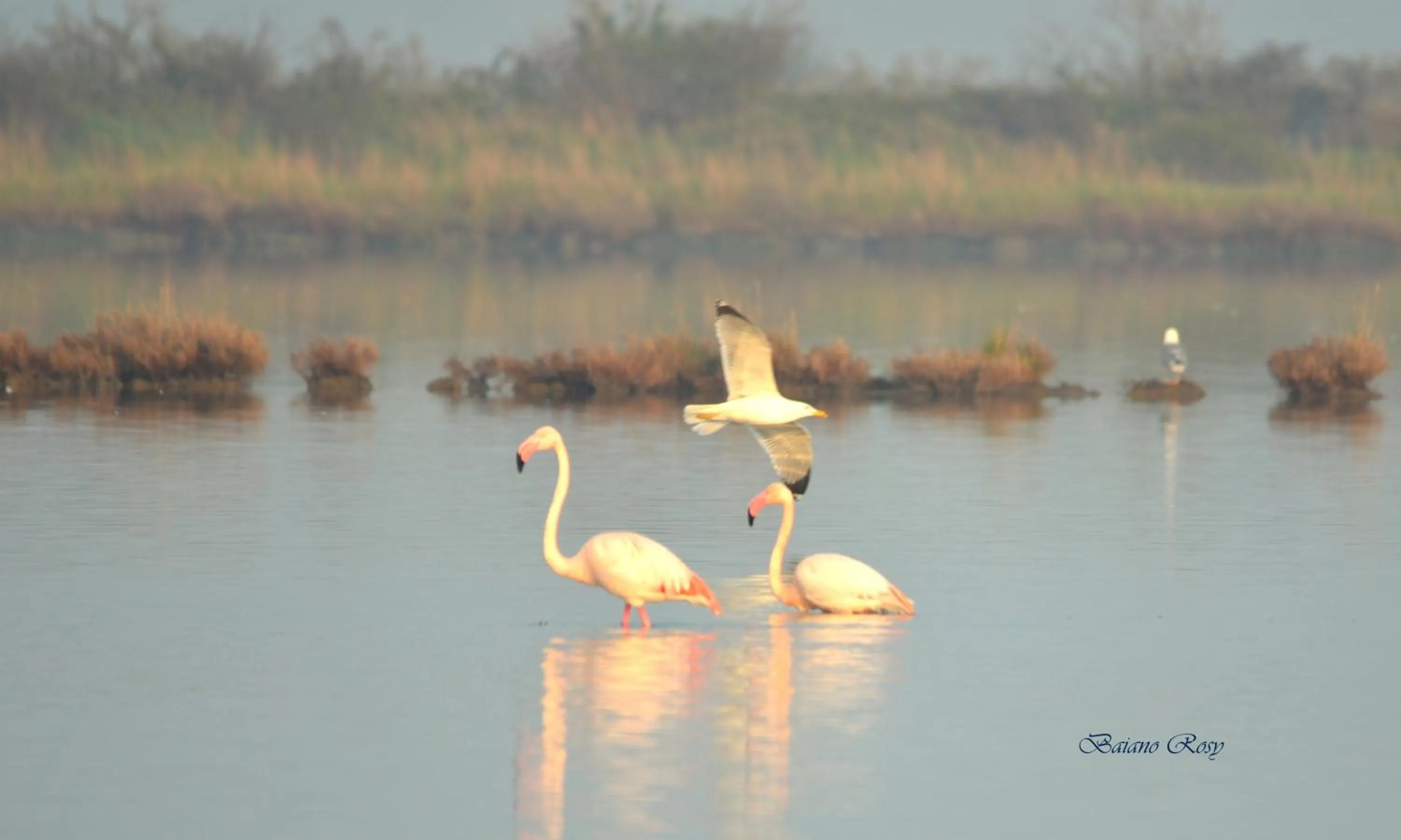 Nearby landmark in Hotel Eldorado, Depandance & Apartments