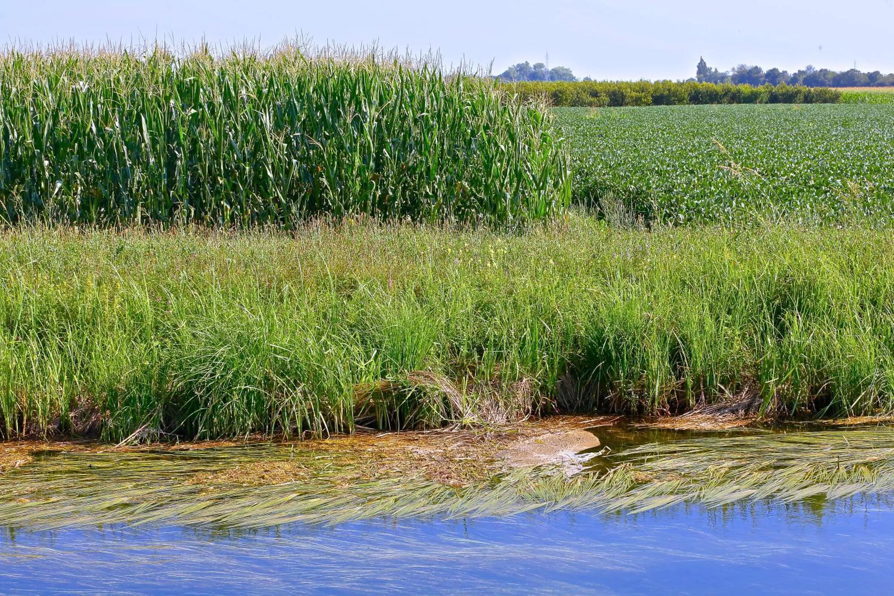Natural landscape in Hotel Eldorado, Depandance & Apartments