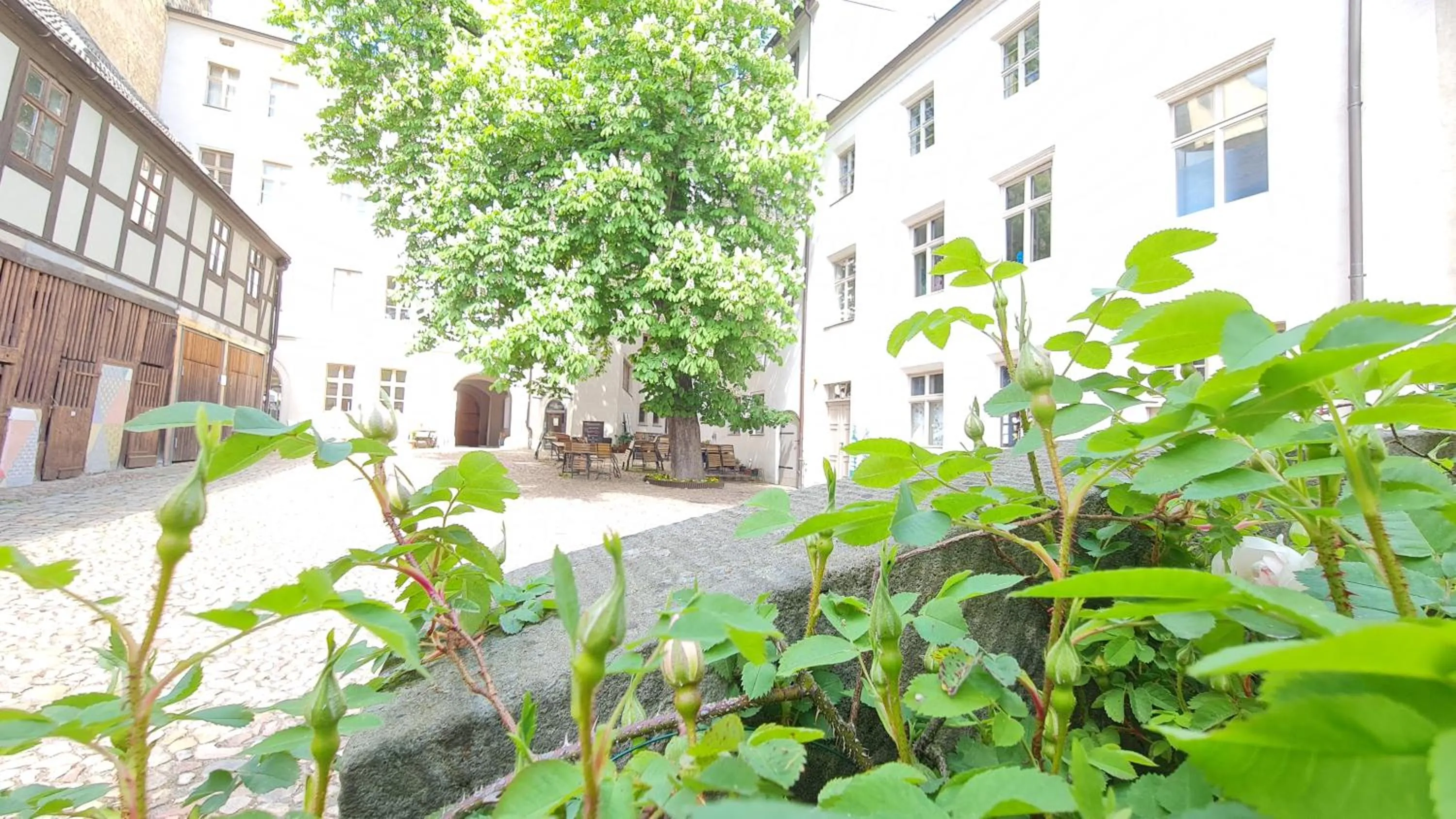 Patio in Hotel Cranach-Herberge City Centre