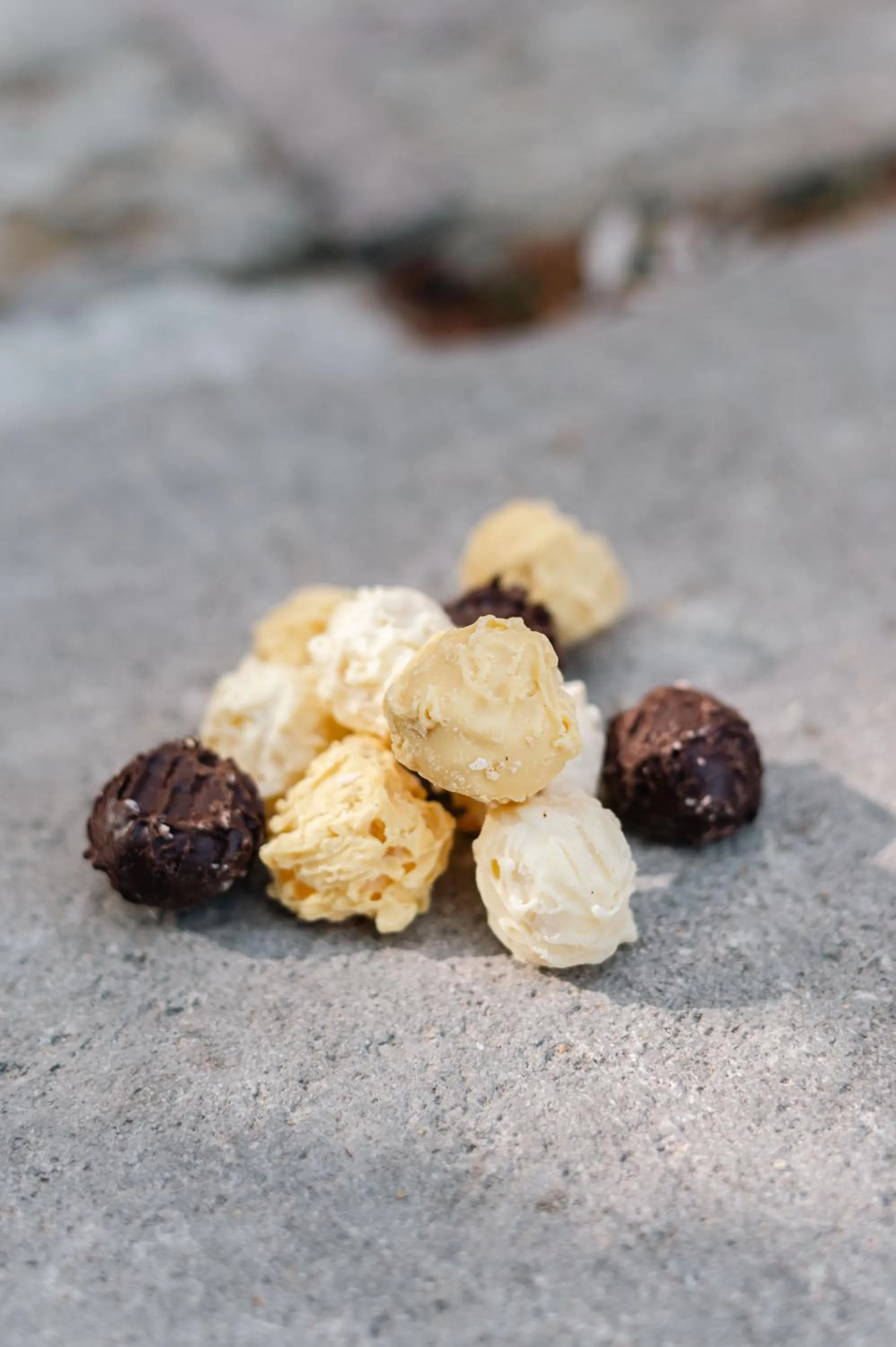 Activities in La Maison Forte