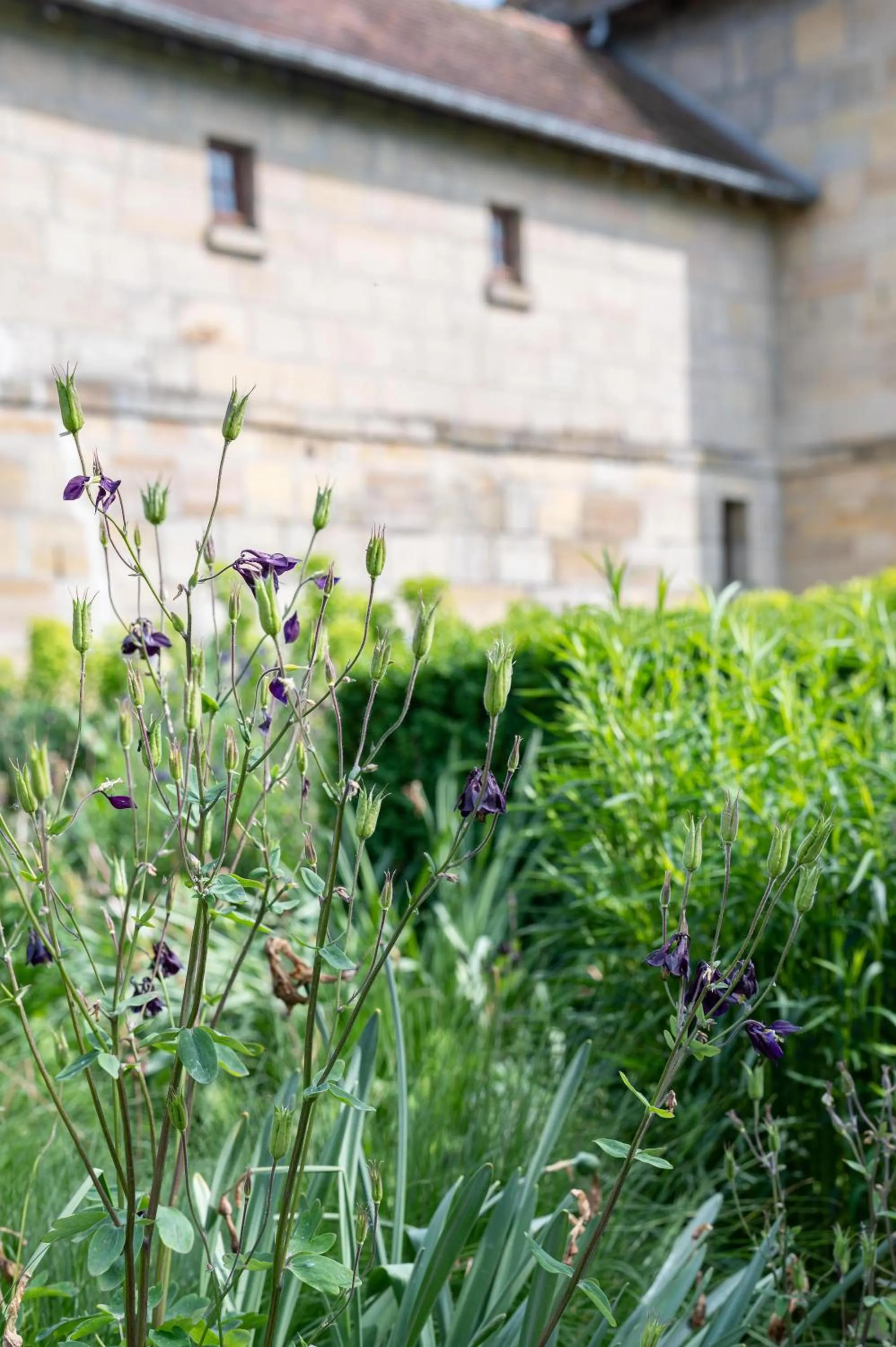 Garden in La Maison Forte