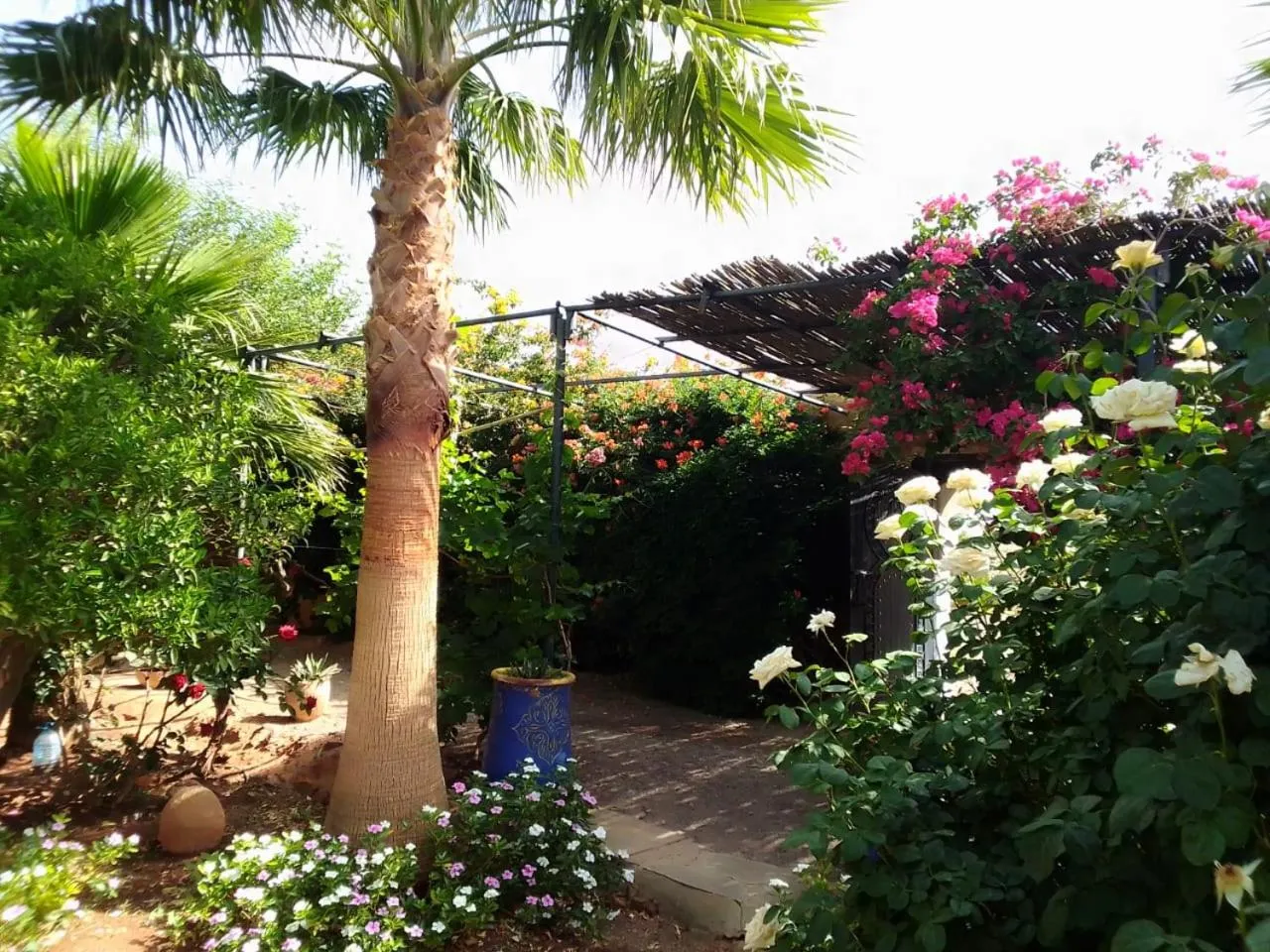 Garden in Kasbah Auberge Bassou