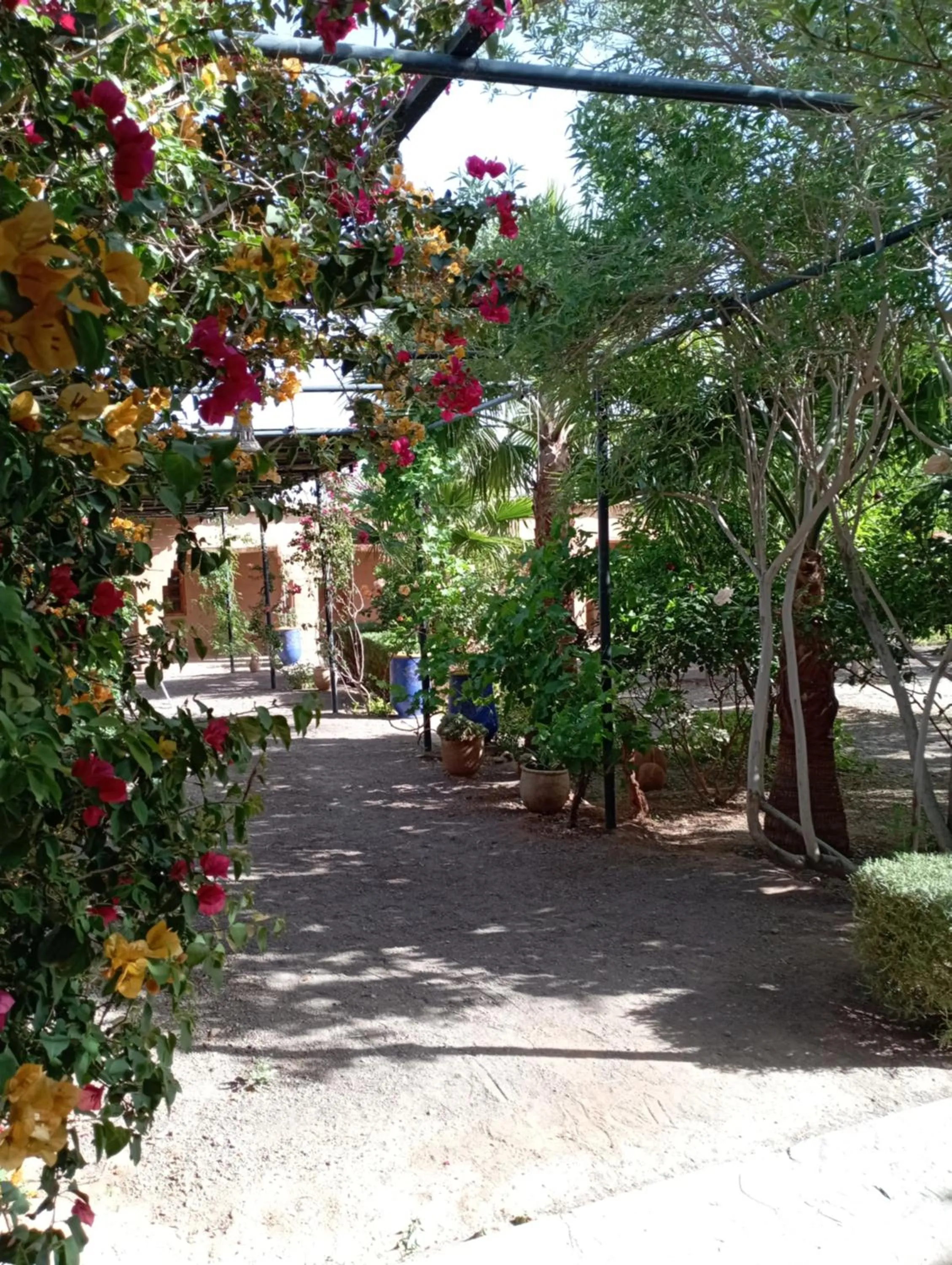 Garden in Kasbah Auberge Bassou