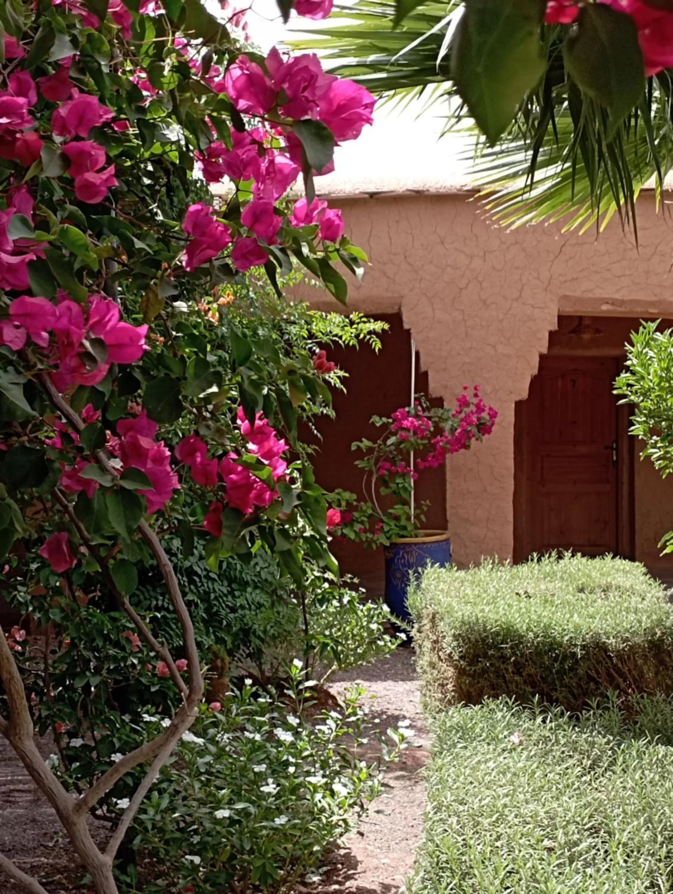 Garden view in Kasbah Auberge Bassou