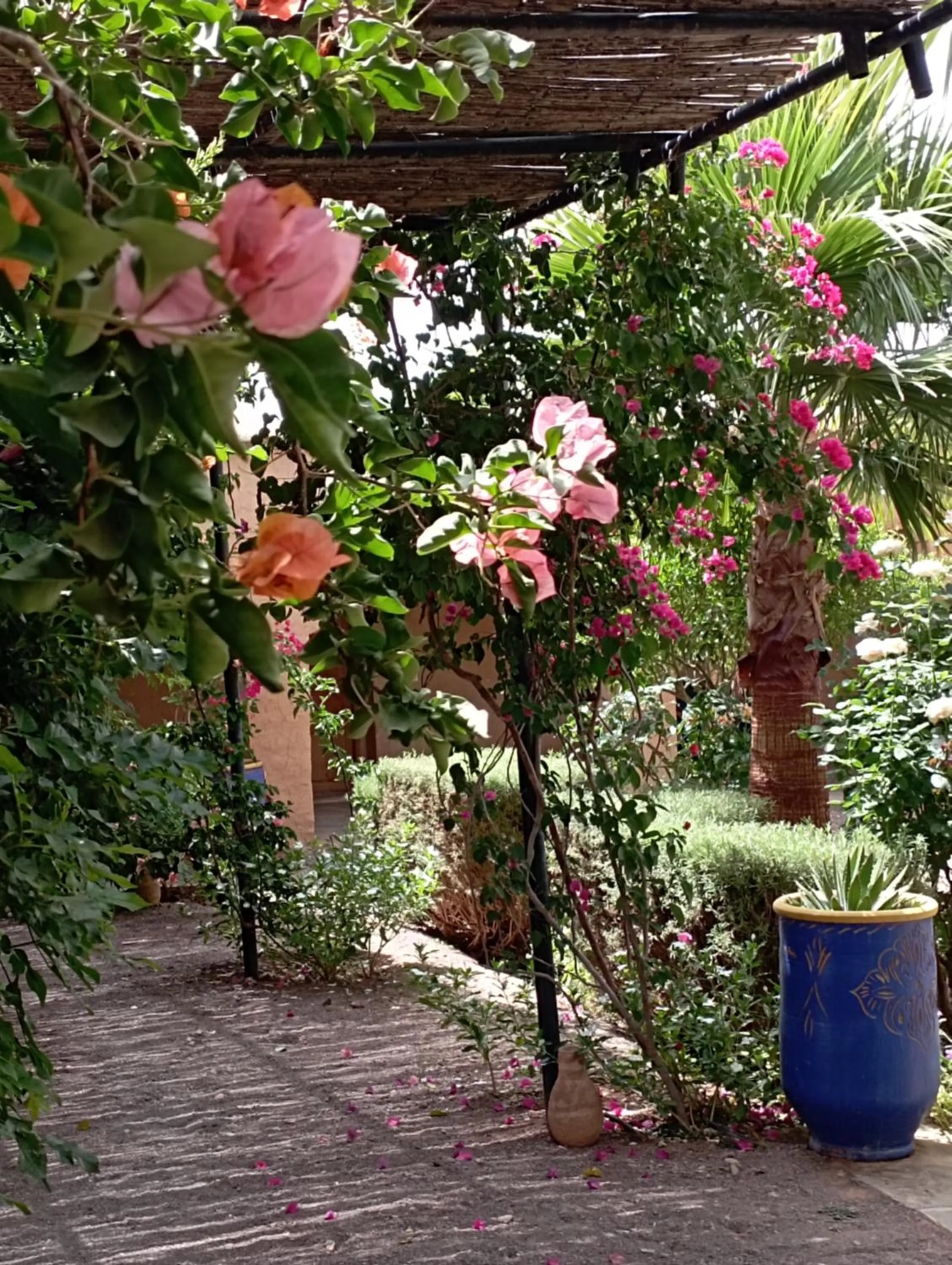 Garden in Kasbah Auberge Bassou