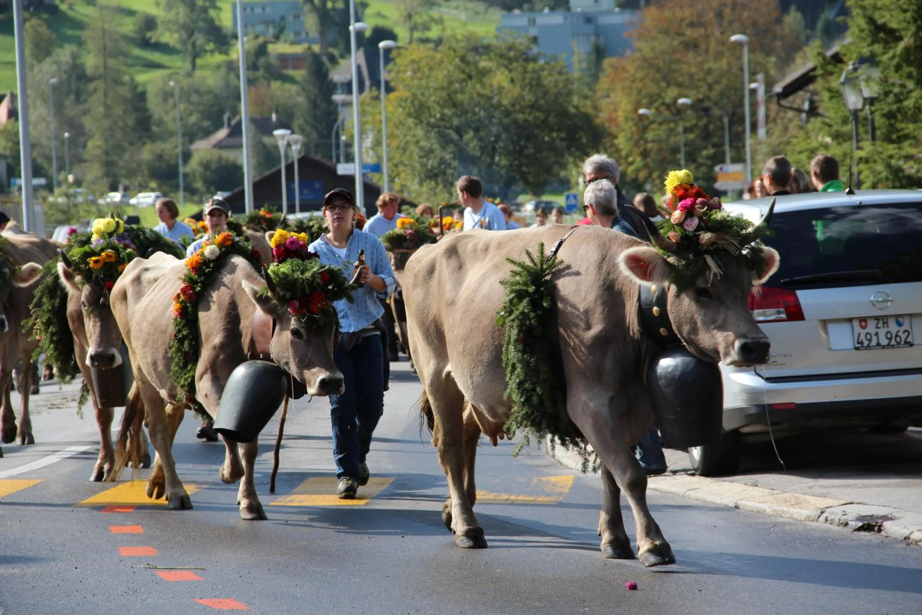 Animals in Hotel-Restaurant Alpina