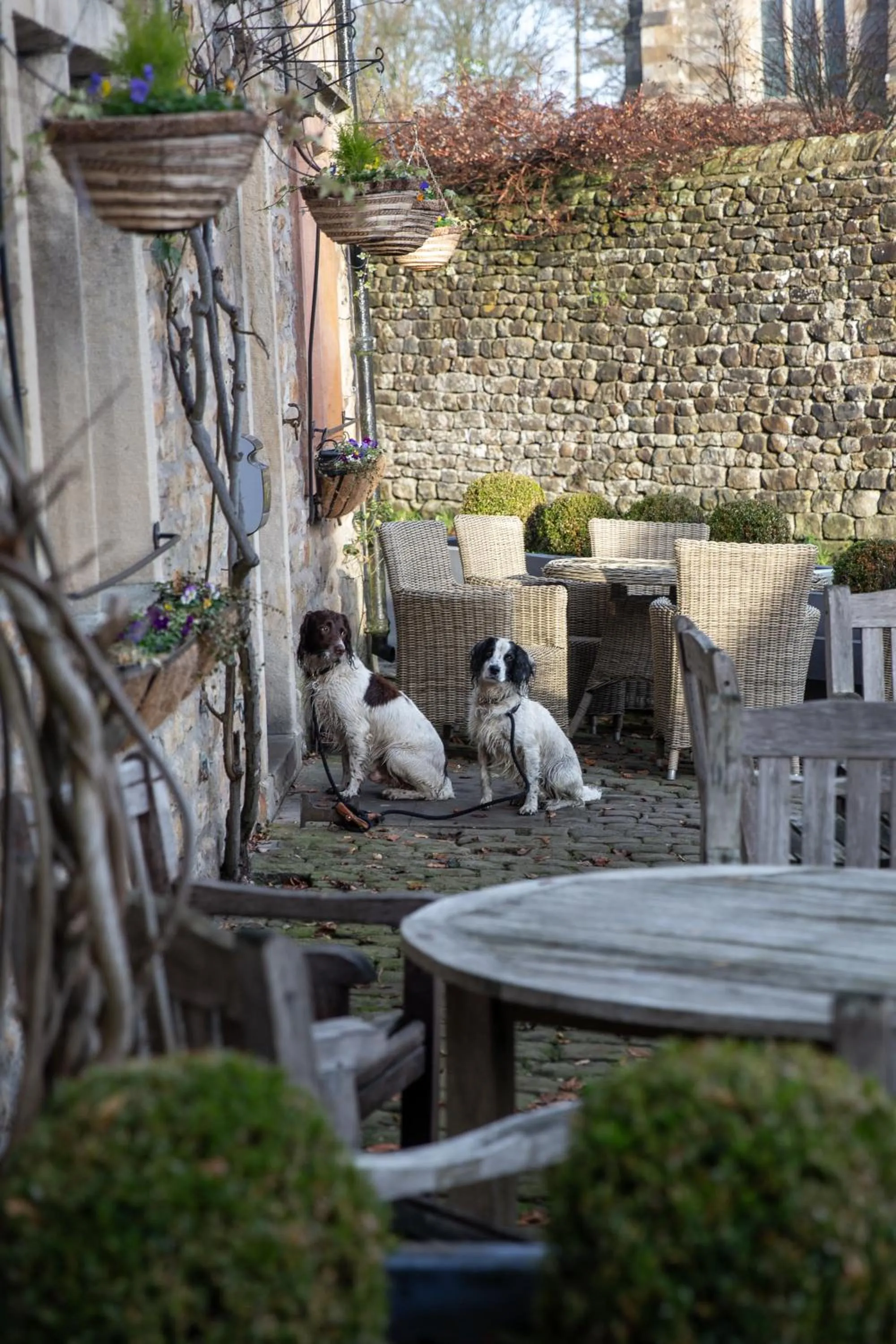 Property building in The Lower Buck Inn