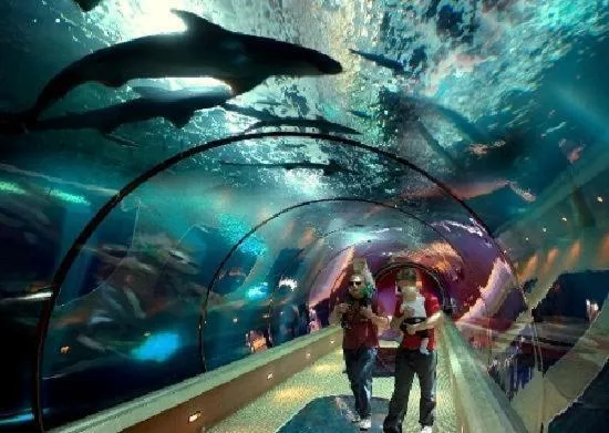 Guests in Summer Wind Budget Motel